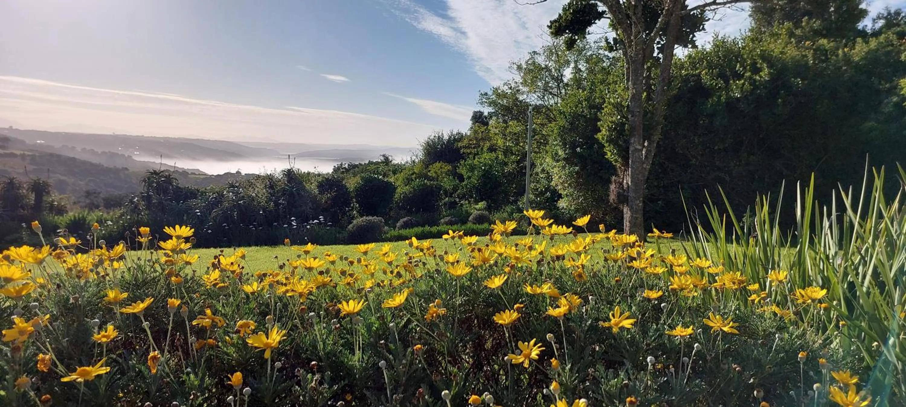 Garden view in Paradise Cove