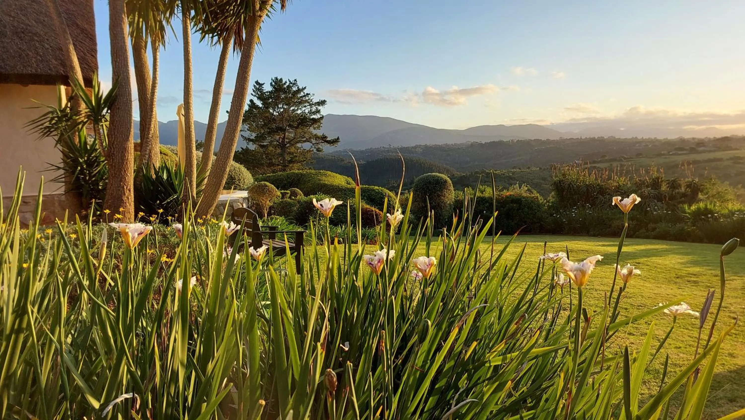 Natural landscape in Paradise Cove