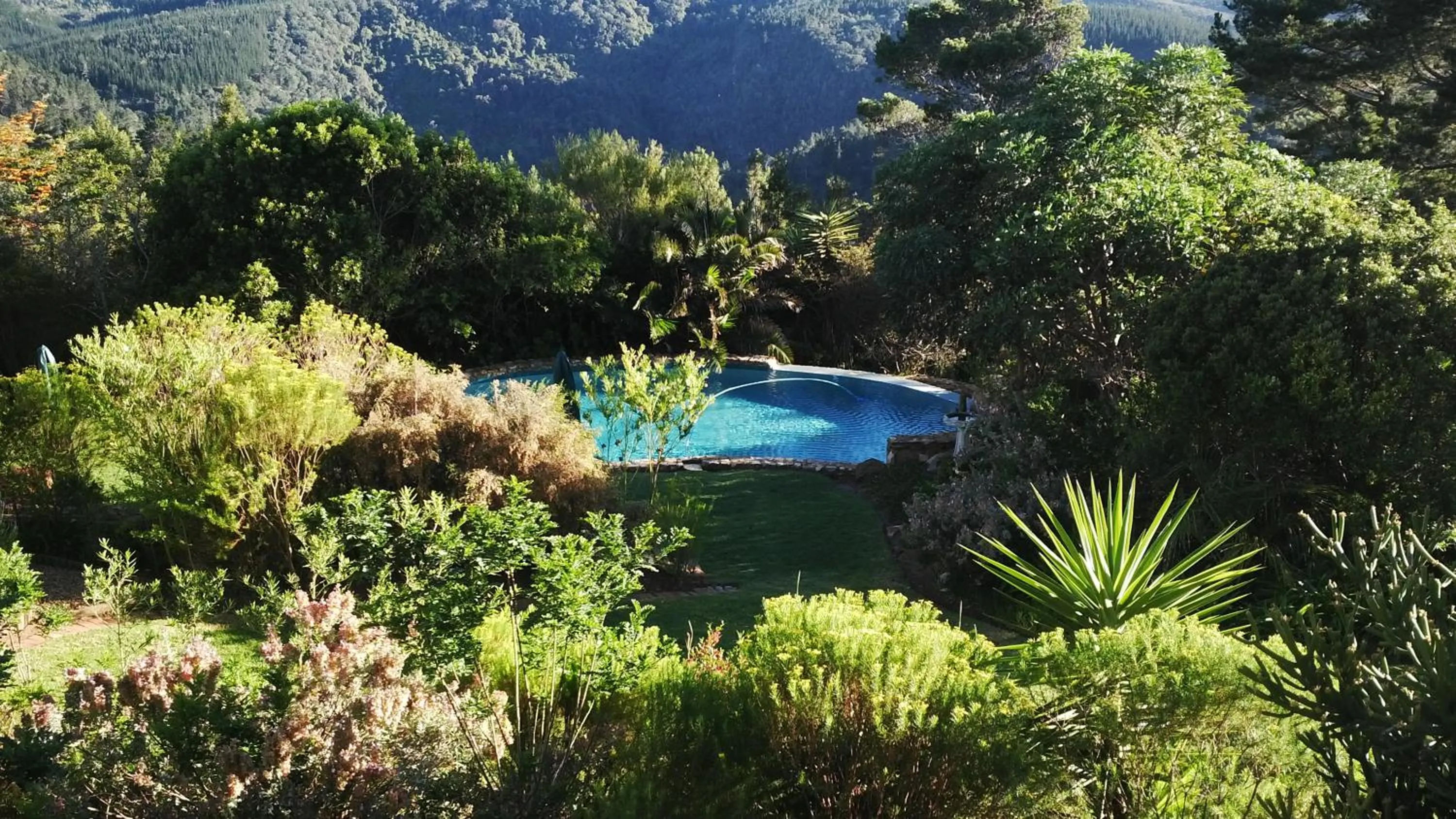 Pool view in Paradise Cove