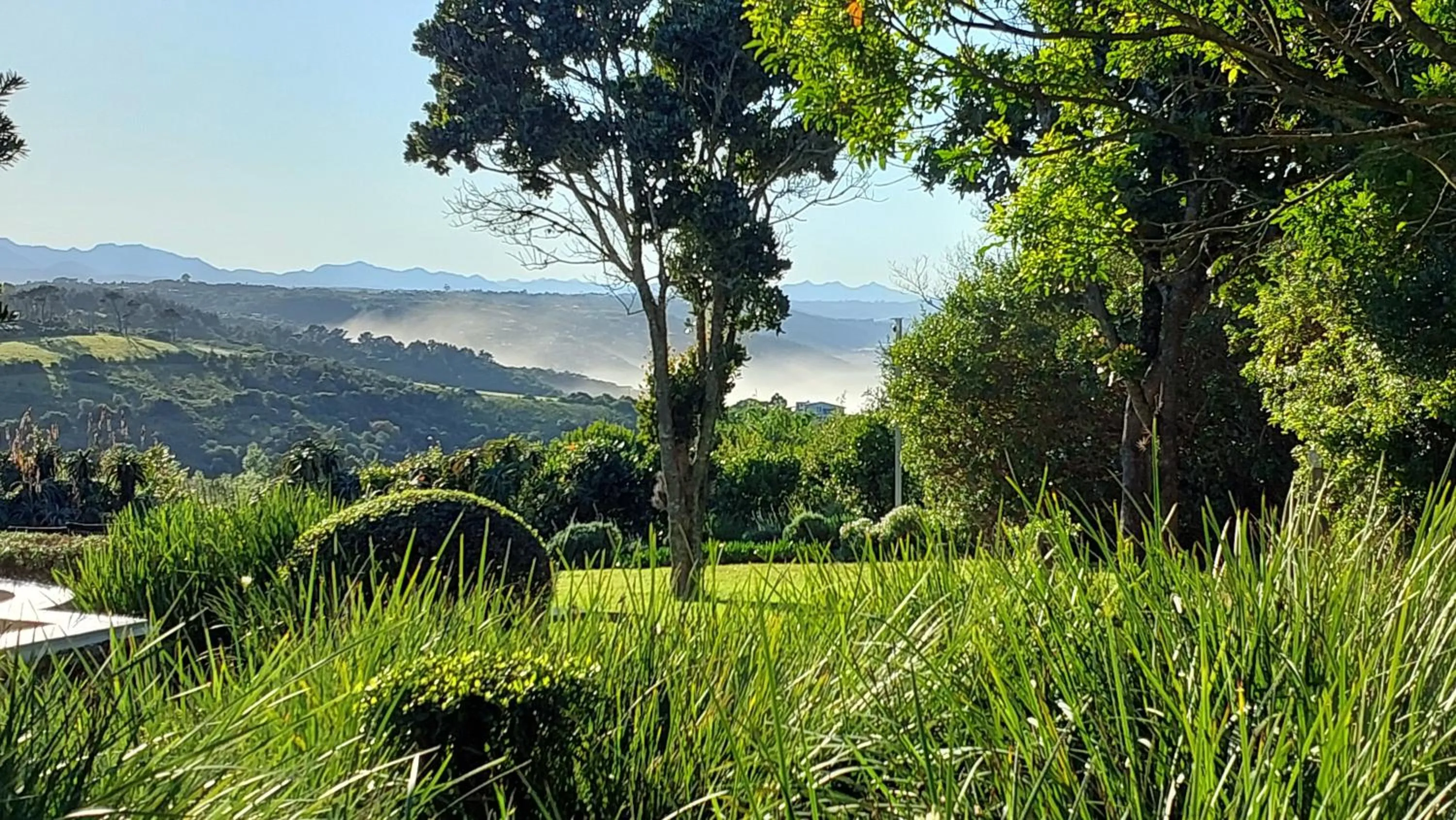 Natural landscape in Paradise Cove