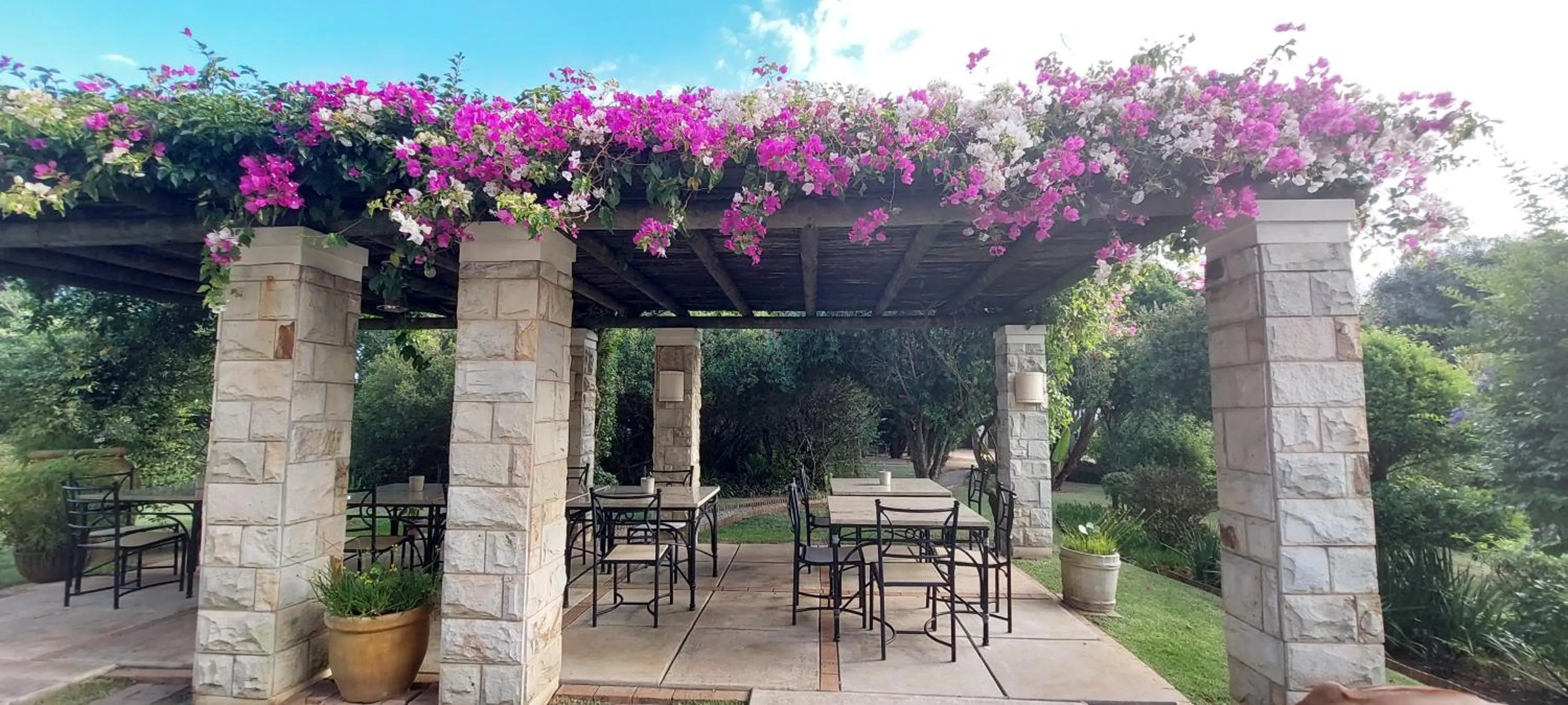 Breakfast in Paradise Cove