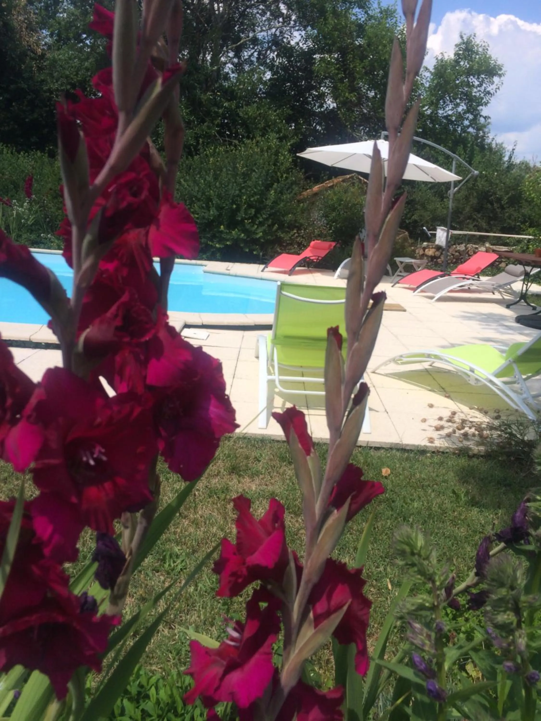 Pool view in Les Luz - Chambres d'hôtes