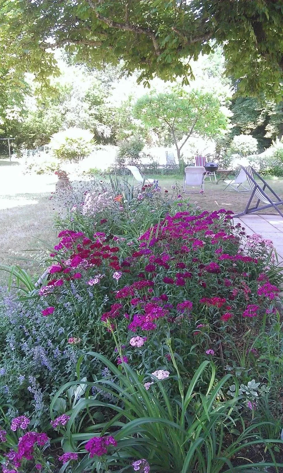 Garden in Les Luz - Chambres d'hôtes