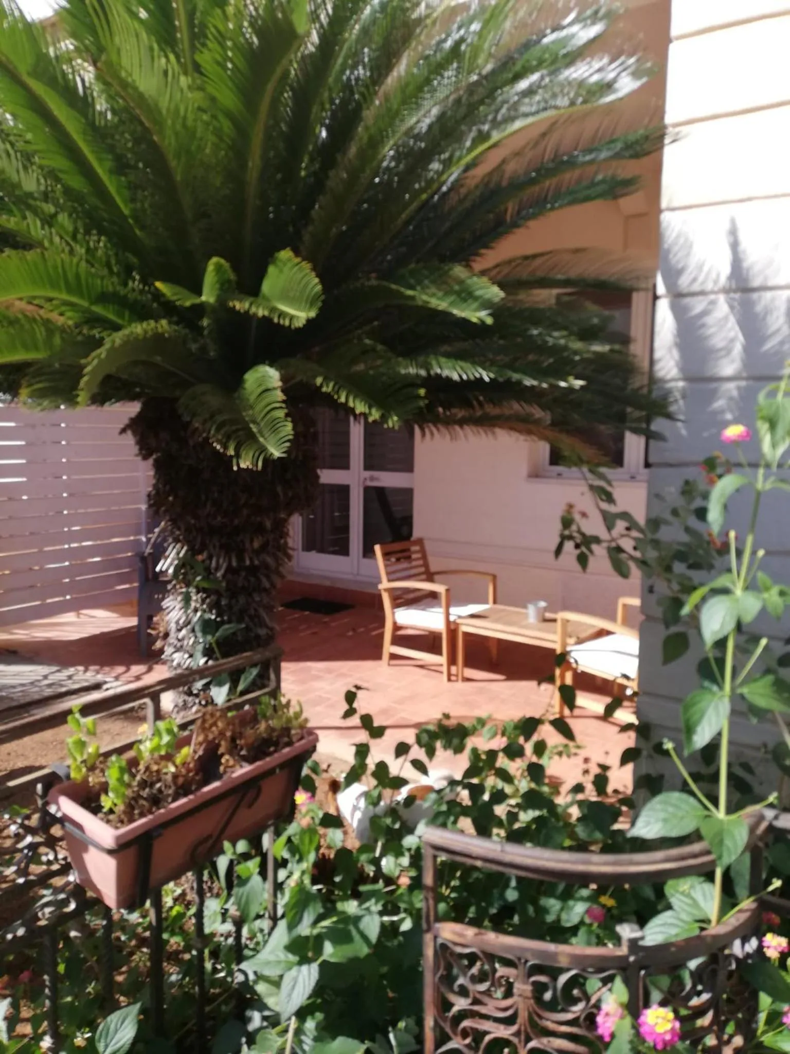 Villa Antonella rooms Mondello