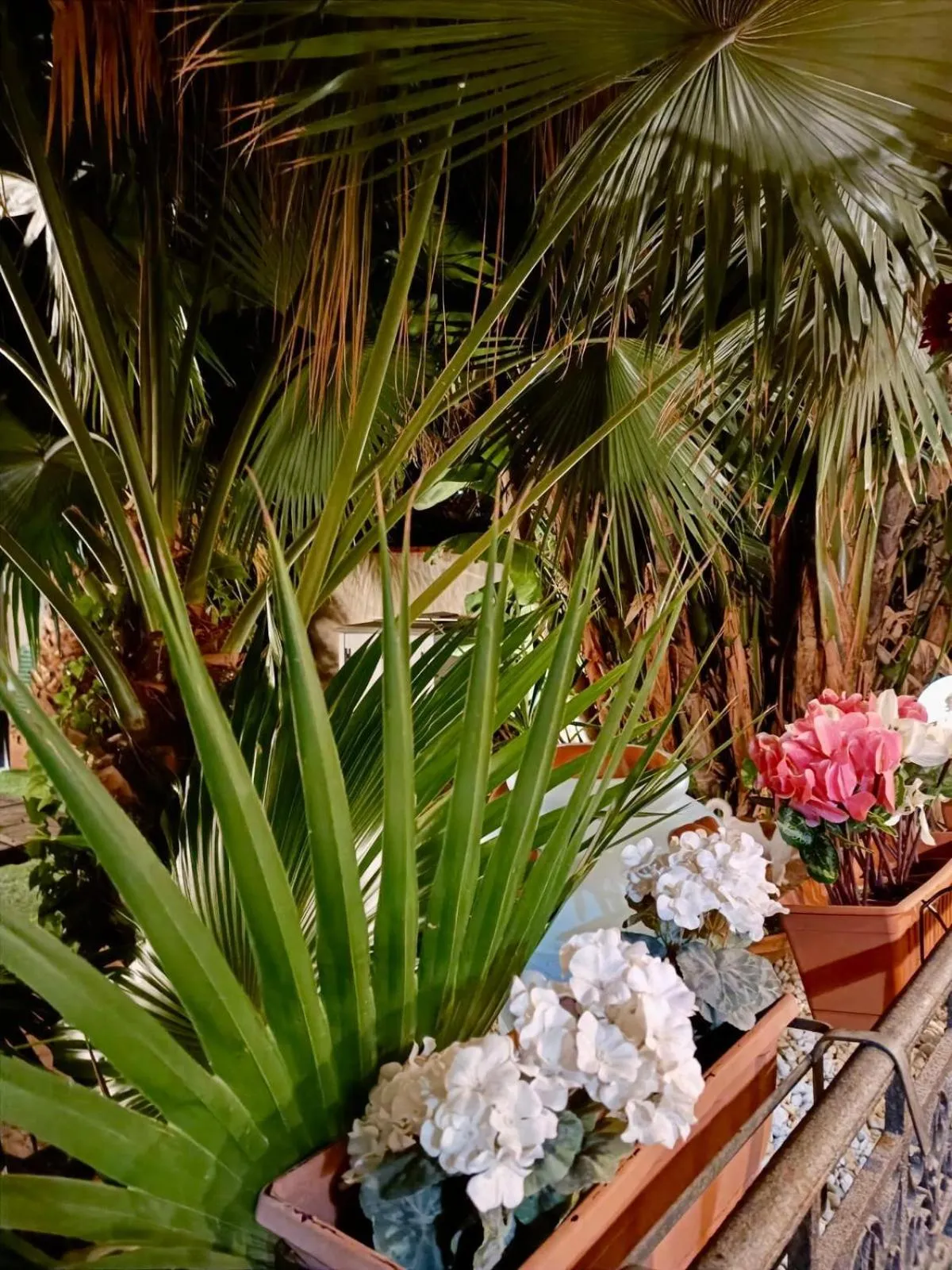 Villa Antonella rooms Mondello