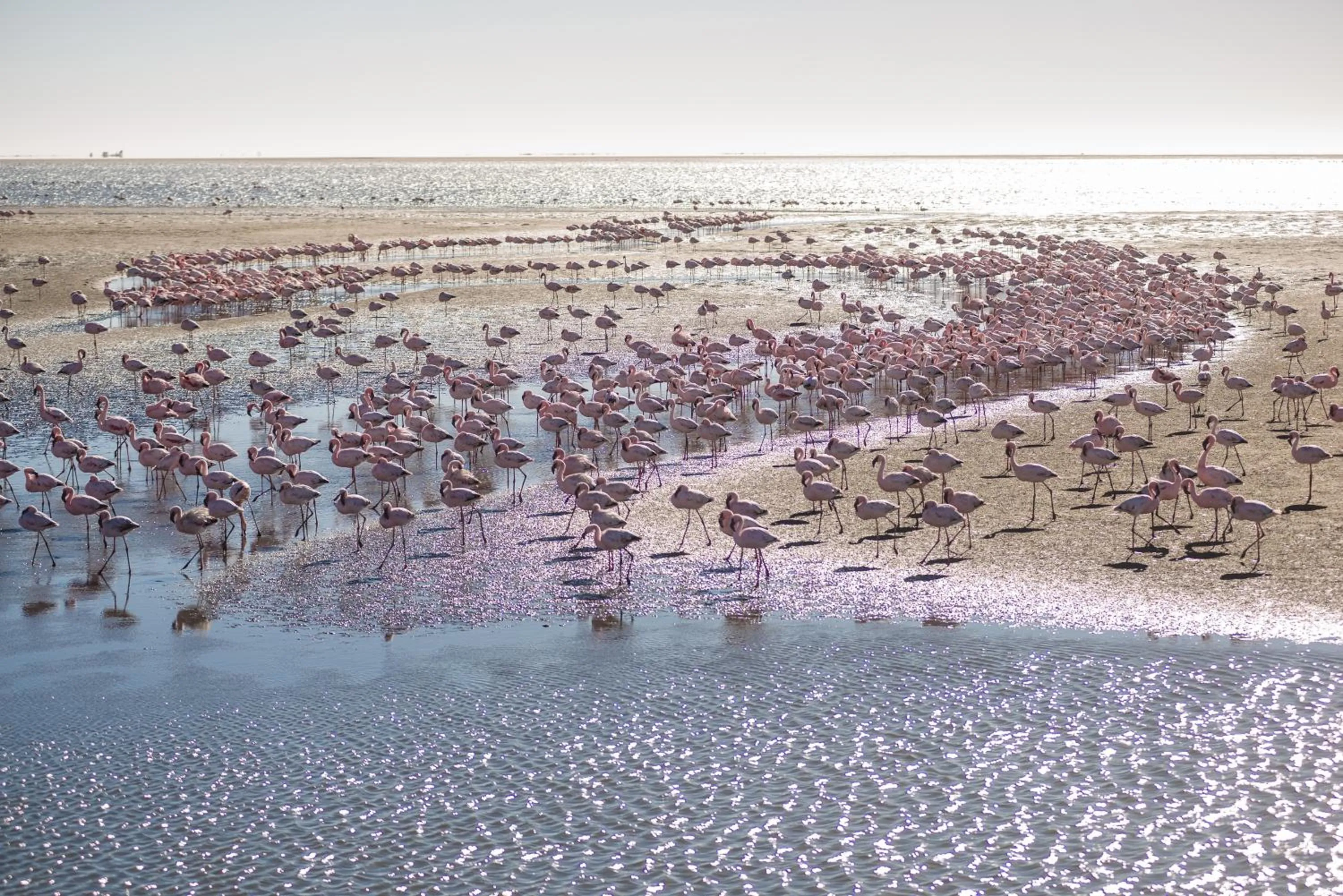 Natural landscape in Flamingo Villas Boutique Hotel