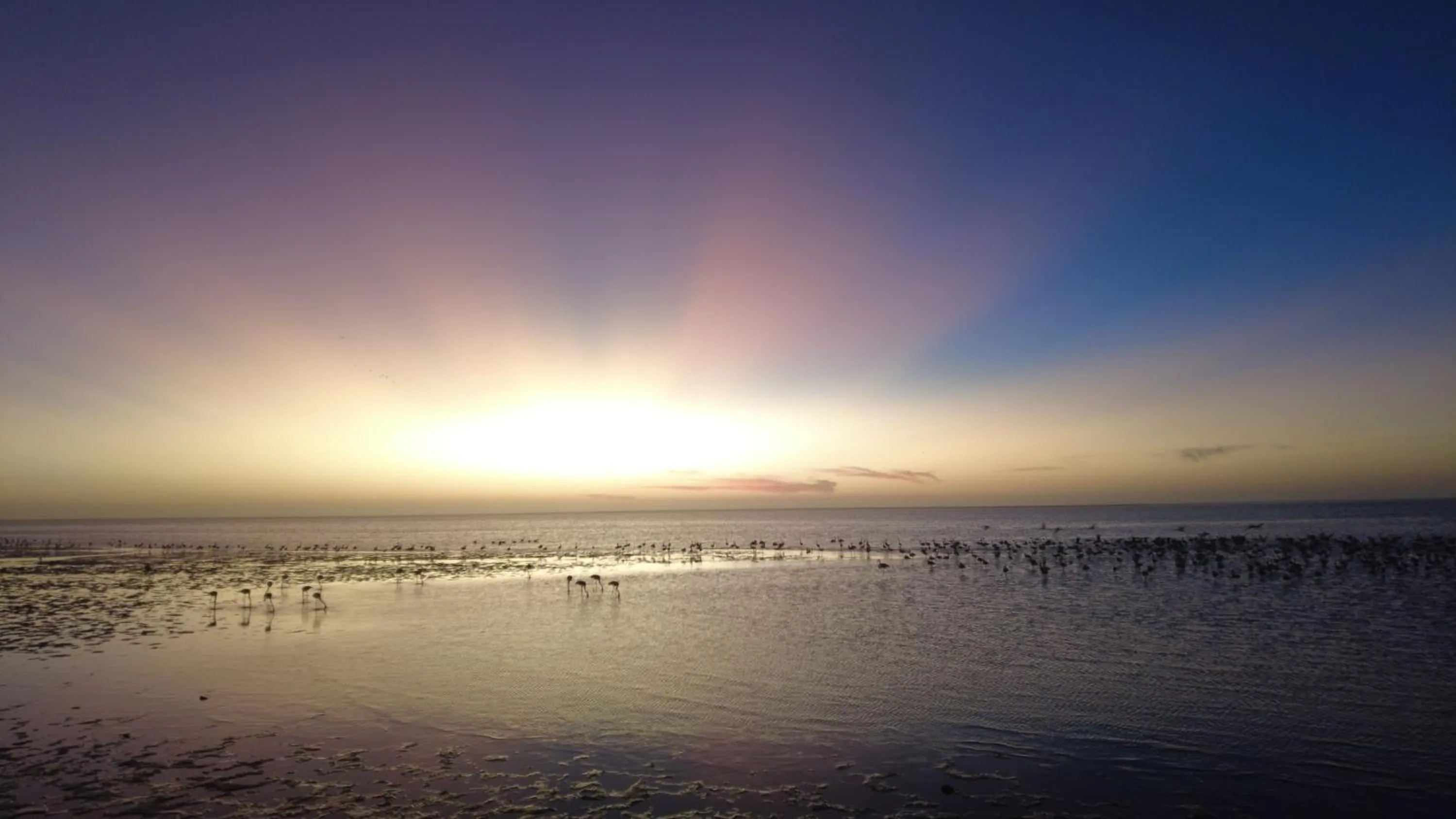 Natural landscape in Flamingo Villas Boutique Hotel