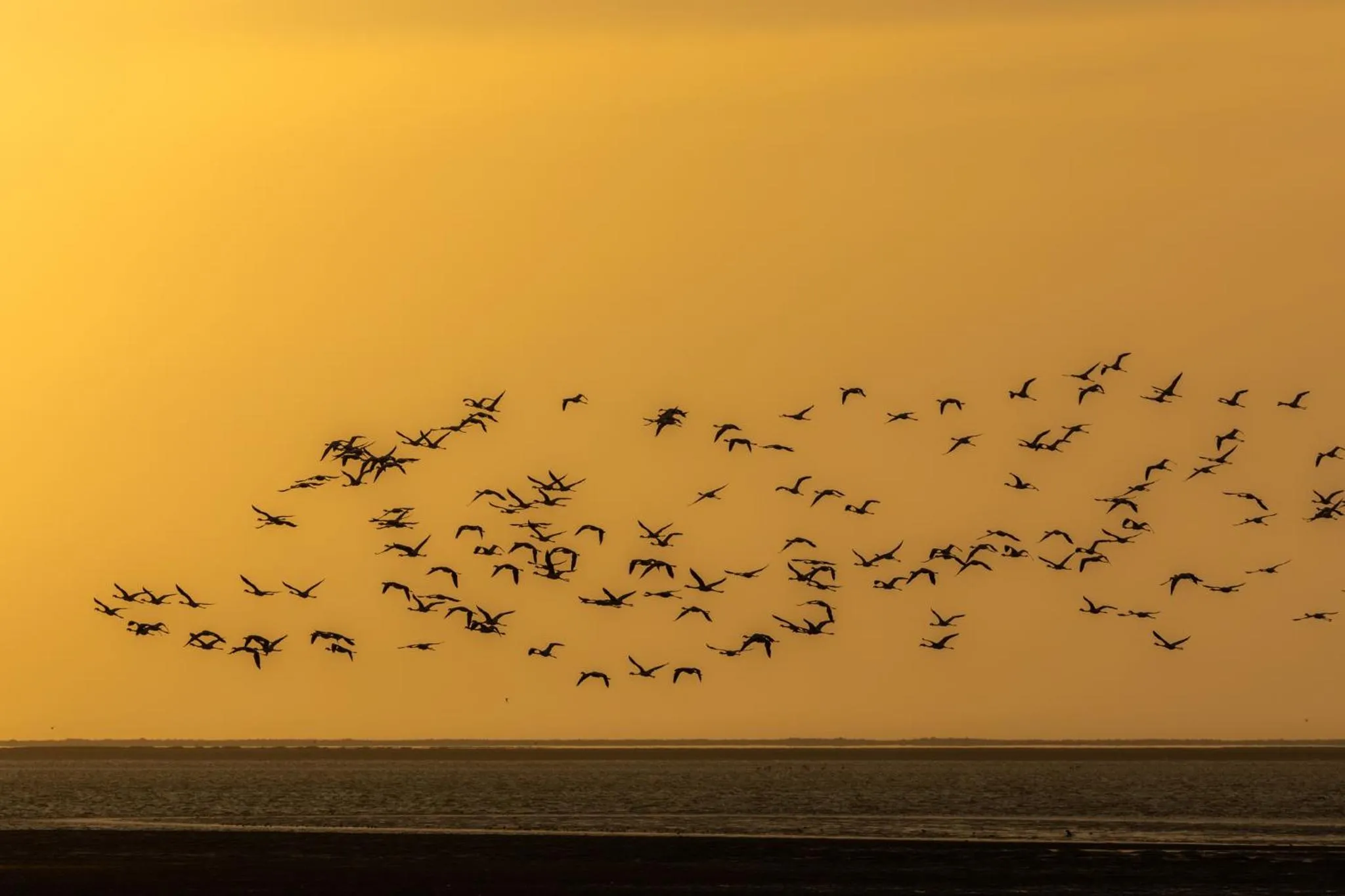 Sea view in Flamingo Villas Boutique Hotel