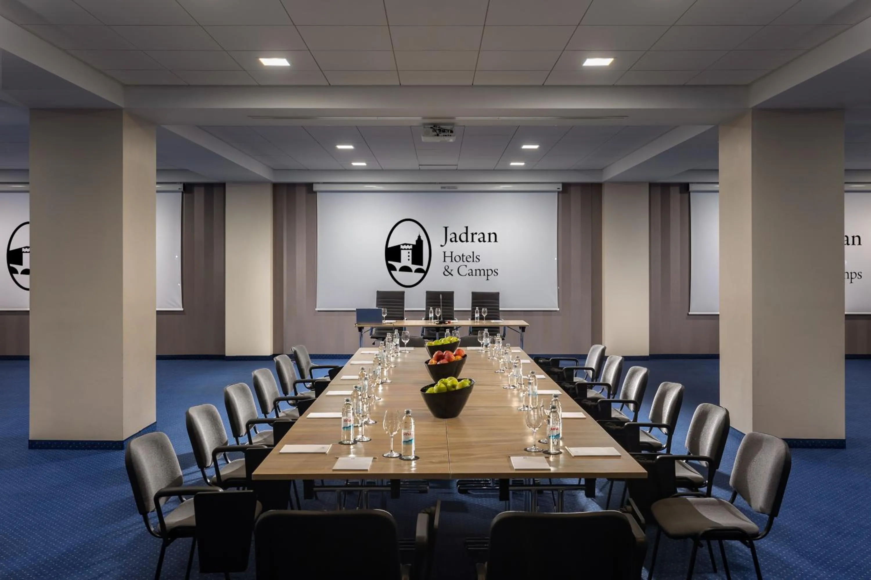 Business facilities in Hotel Omorika