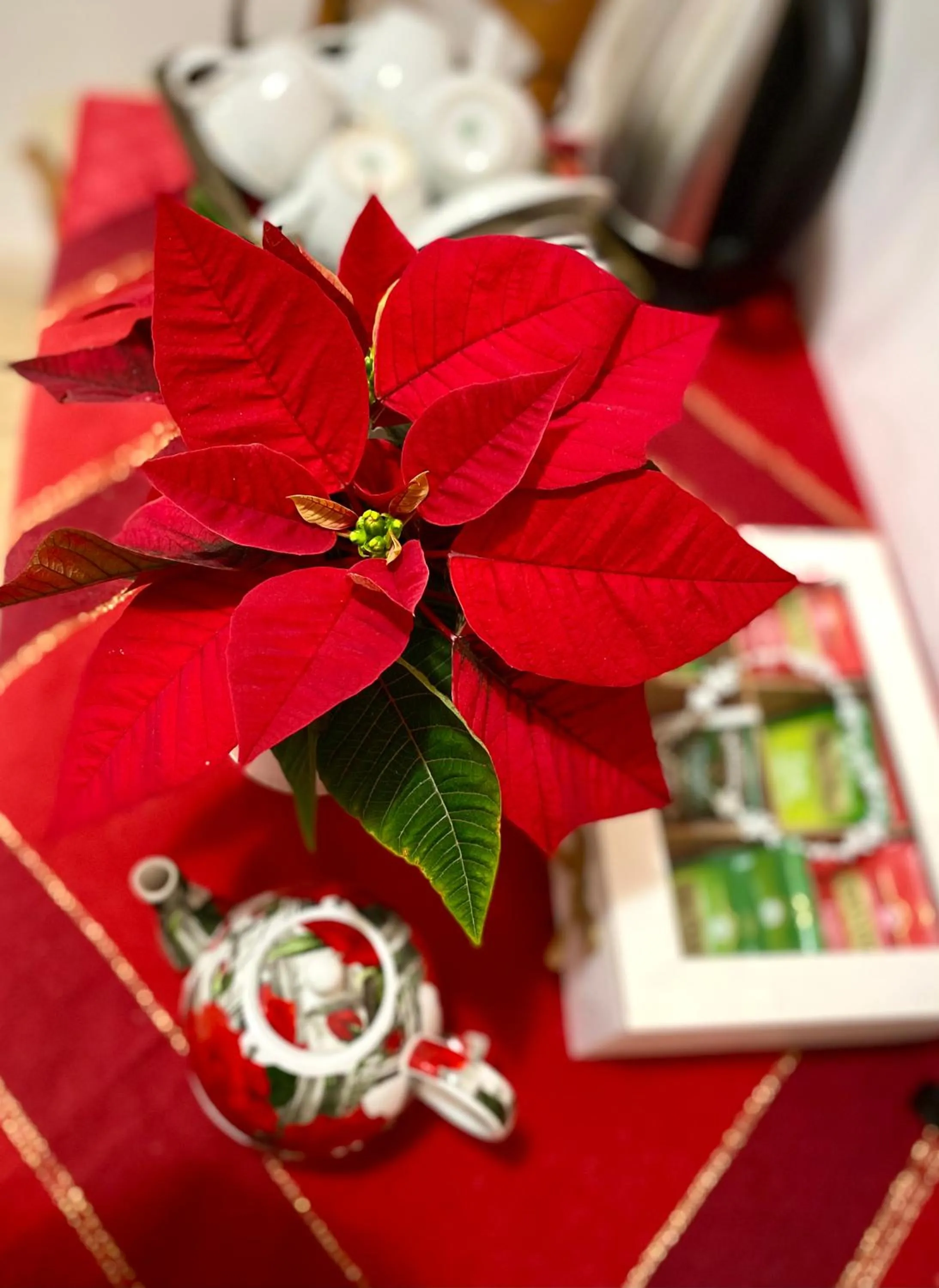Coffee/tea facilities in LeAlbe di Sicilia