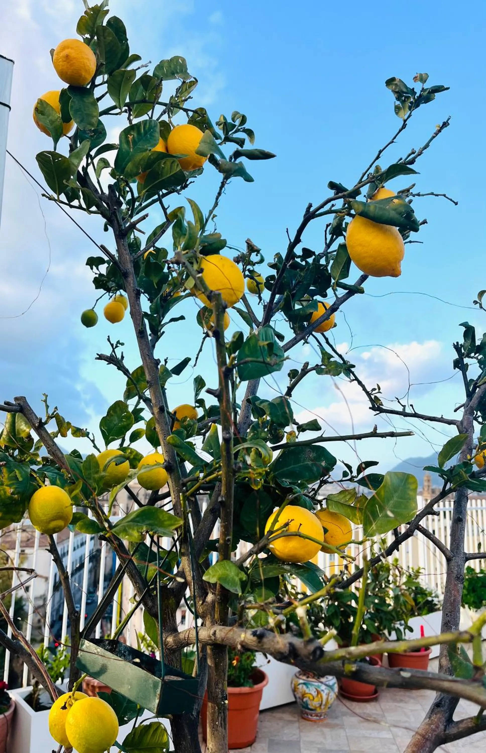 Natural landscape in LeAlbe di Sicilia