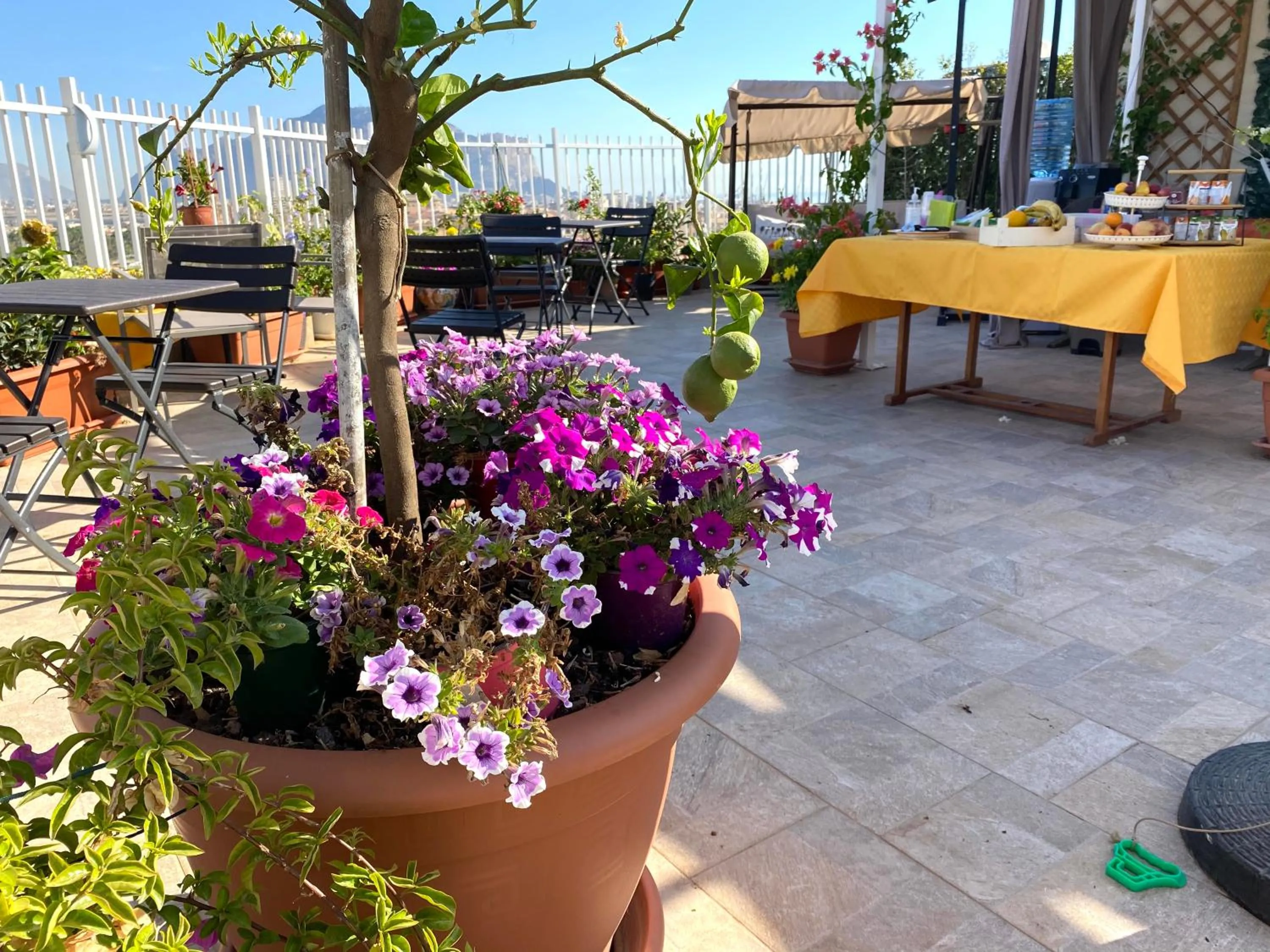 Patio in LeAlbe di Sicilia