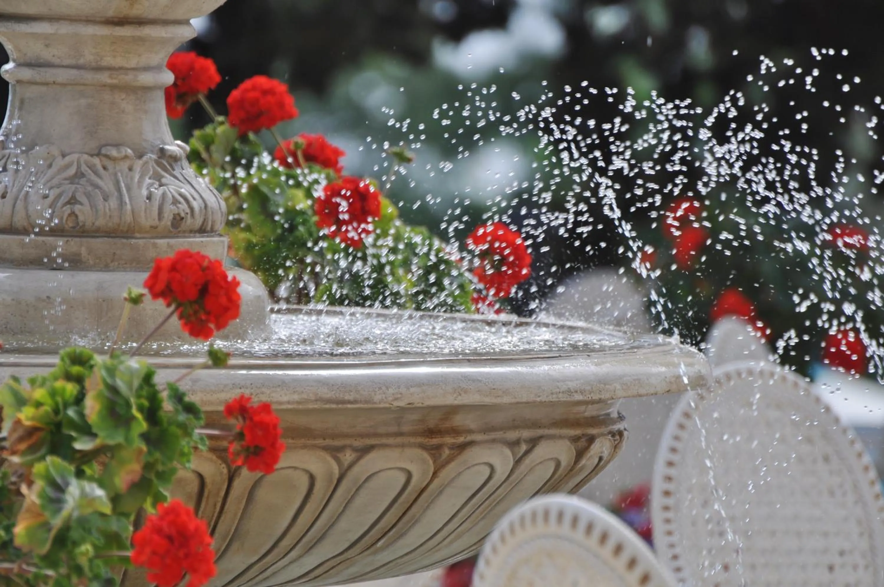 Restaurant/places to eat in Hotel Kvarner Palace