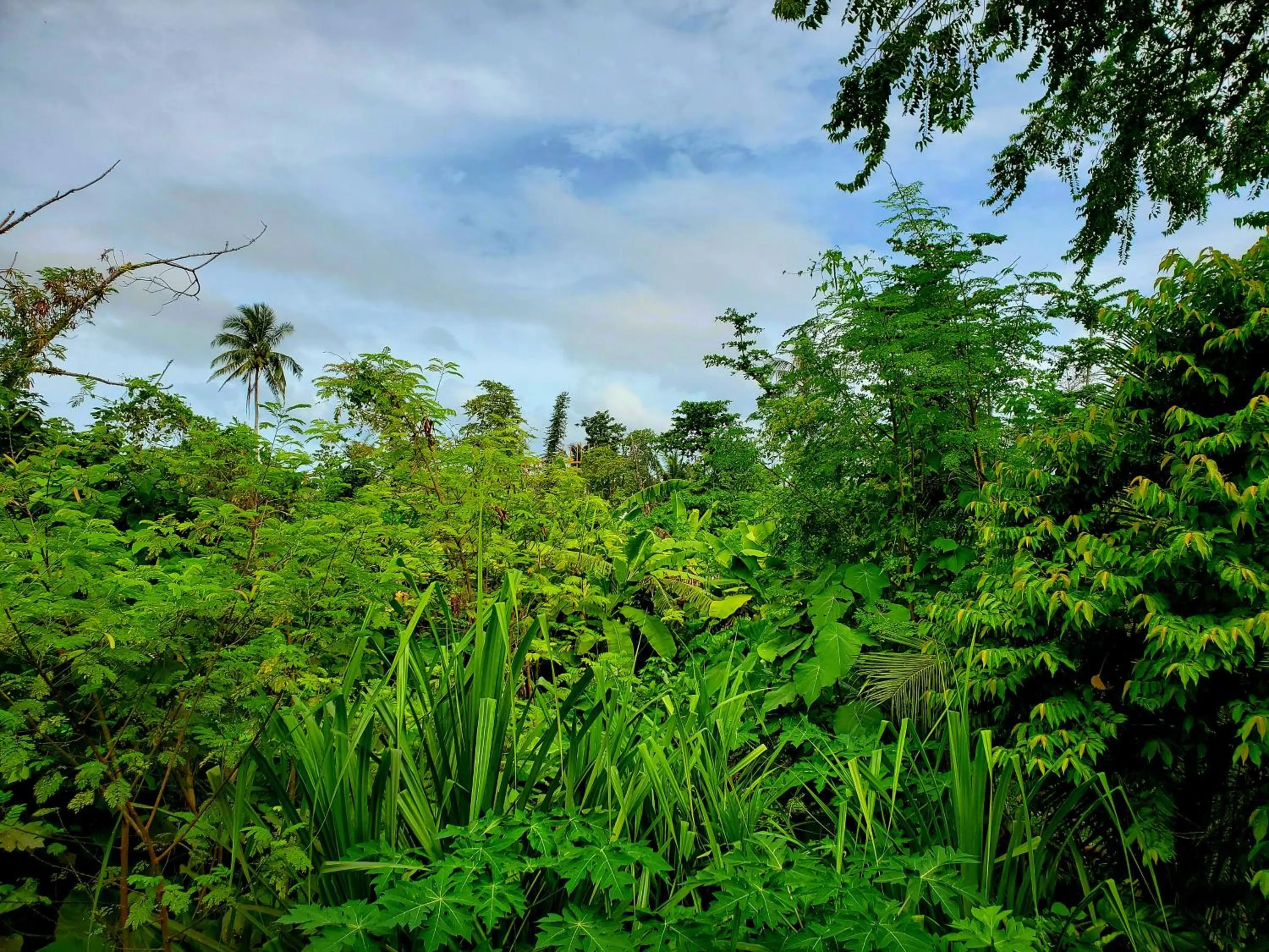 View (from property/room) in Patrick's on the Beach Resort