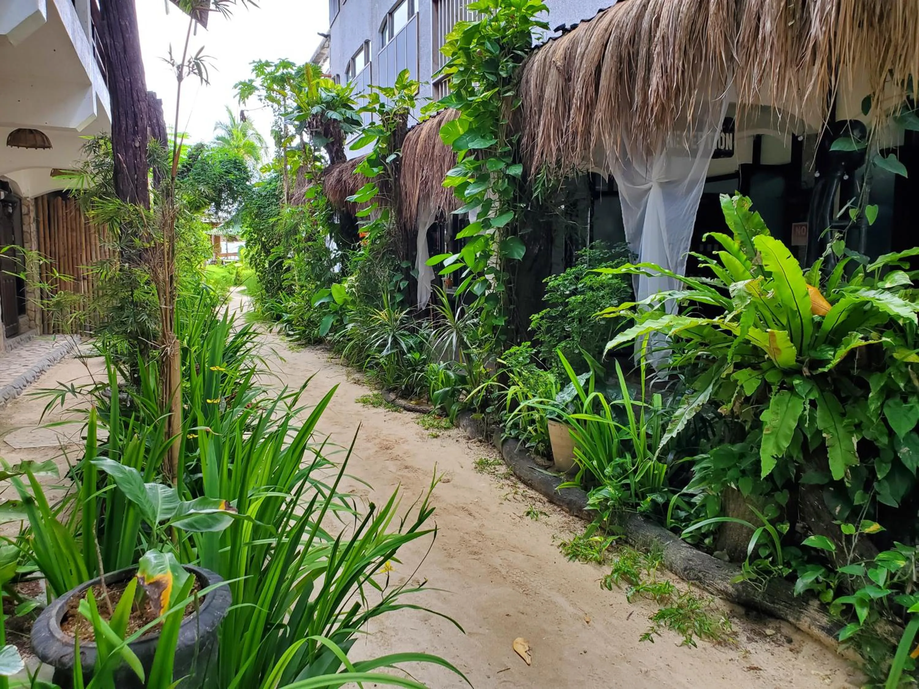 View (from property/room) in Patrick's on the Beach Resort