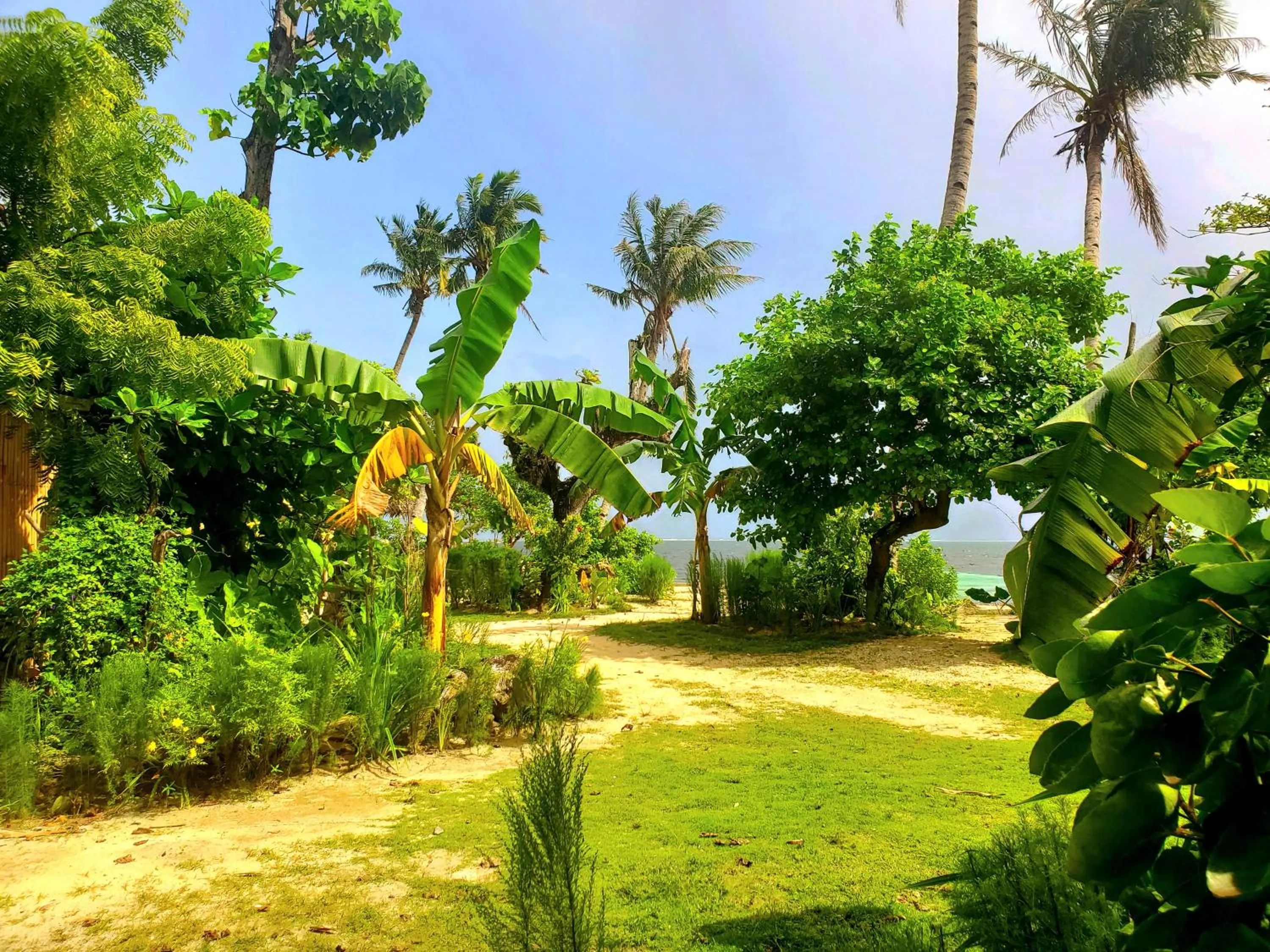 Garden view in Patrick's on the Beach Resort