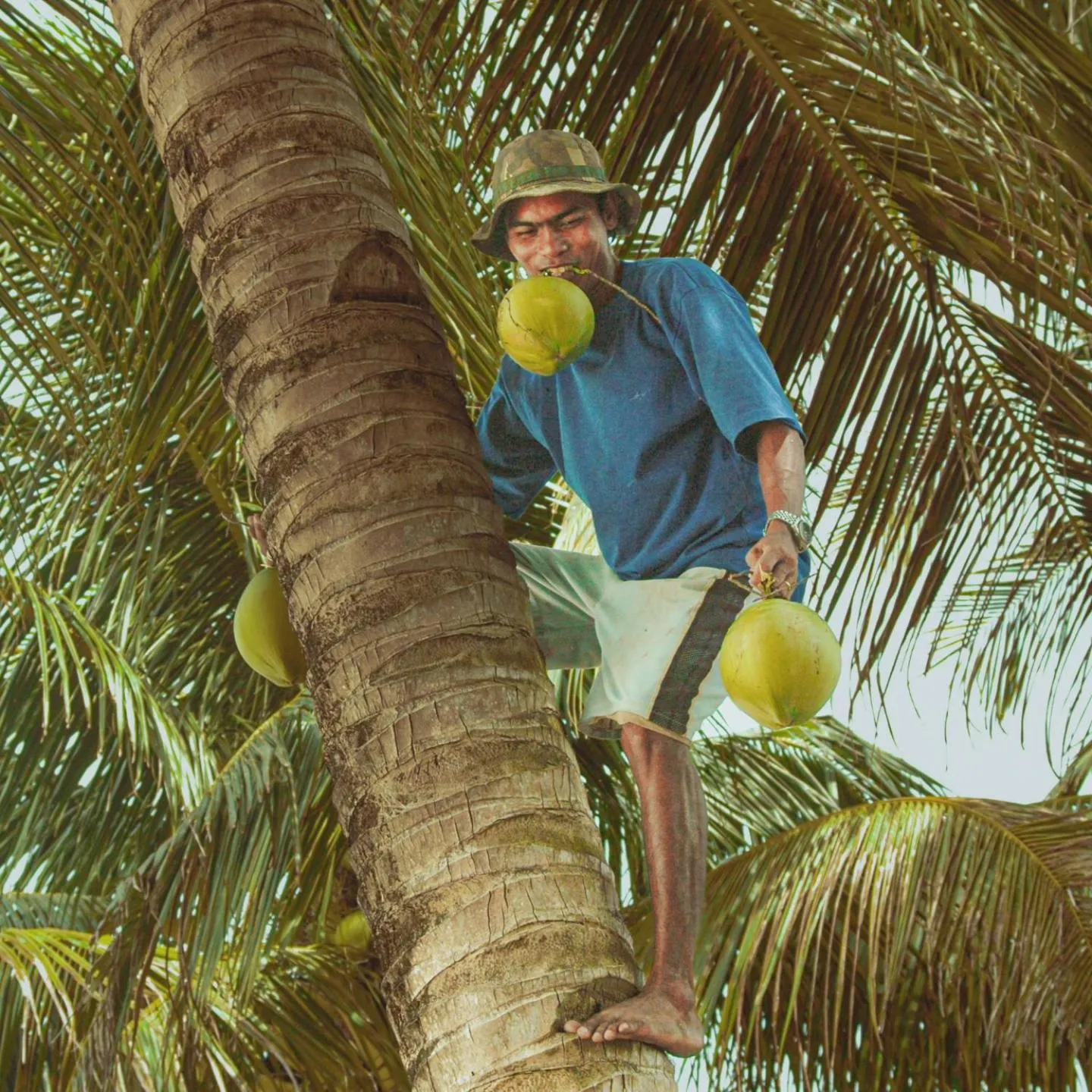 Day in Patrick's on the Beach Resort