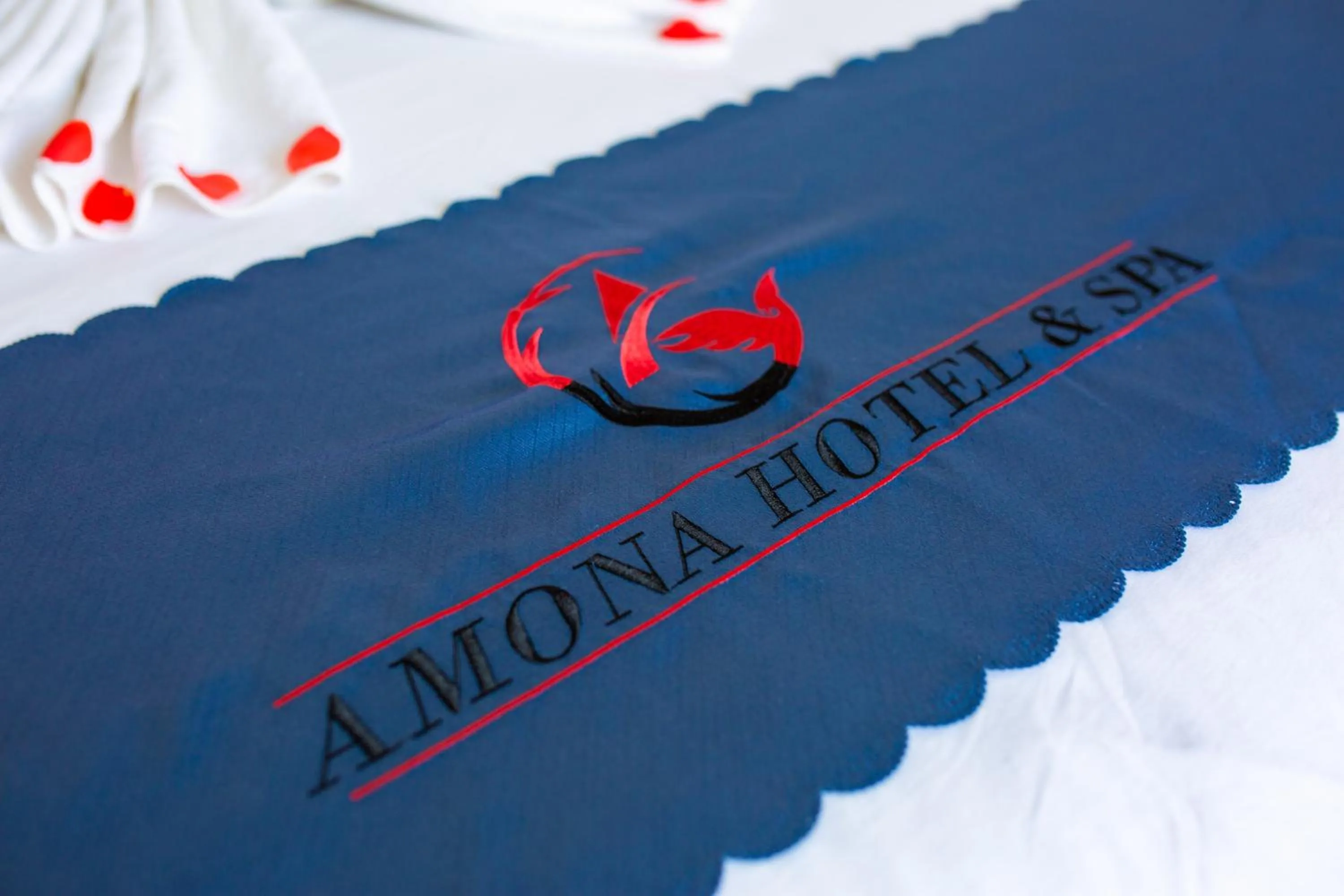 Property logo or sign in Amona Hotel