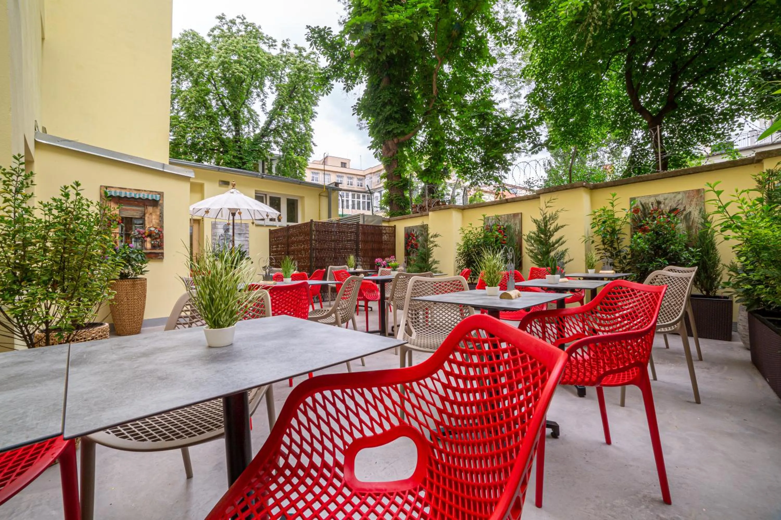 Garden in Salvator Boutique Hotel vegan-friendly