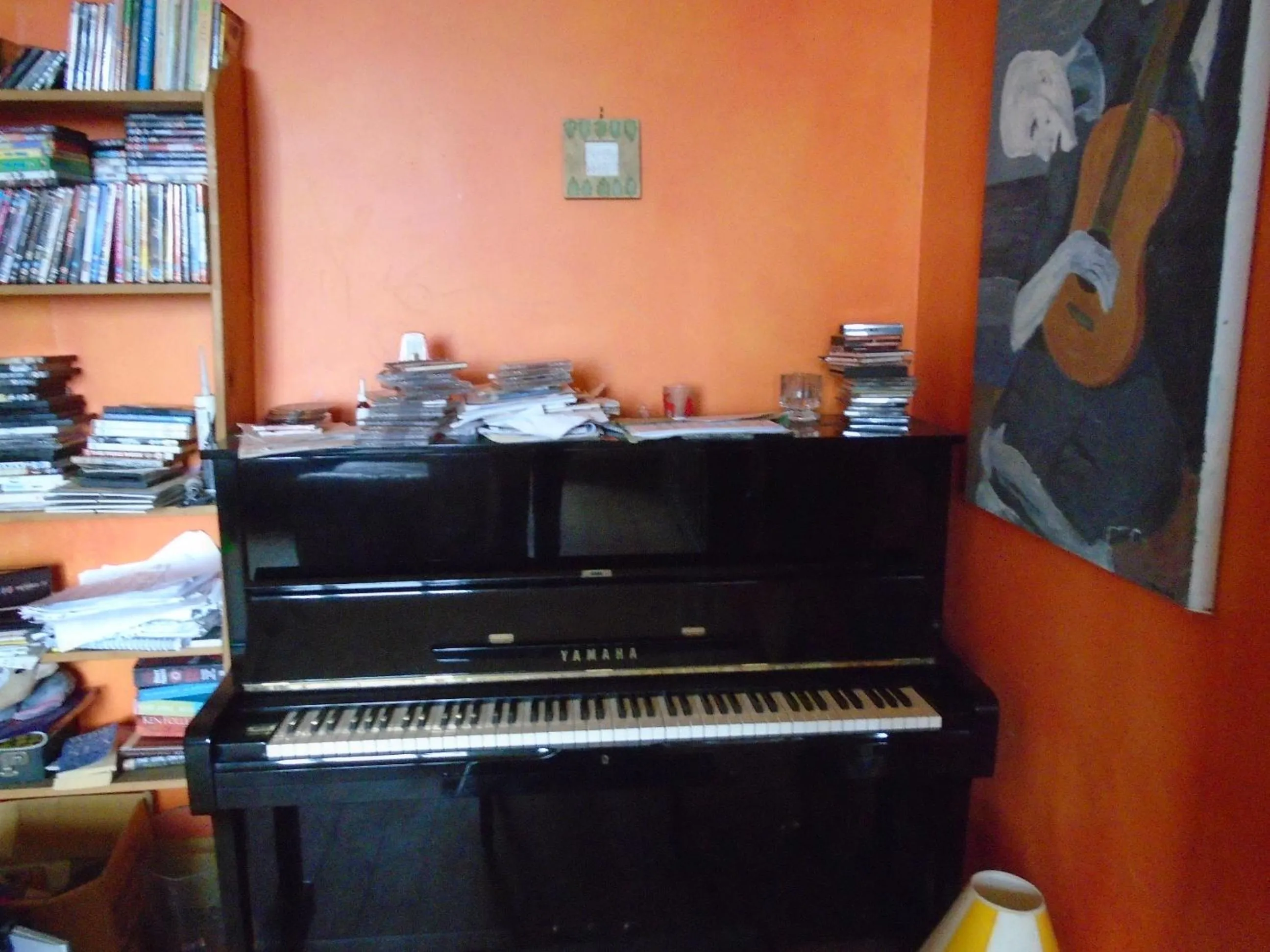 Entertainment in Ballynona House