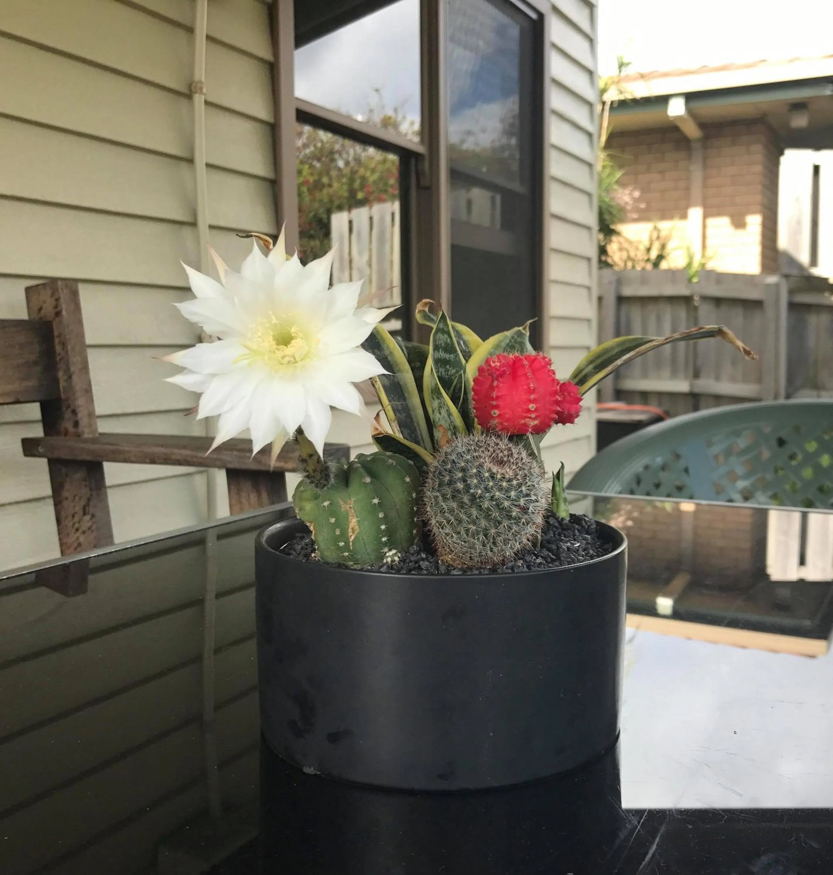 Area and facilities in Port Campbell Guesthouse & Flash Packers