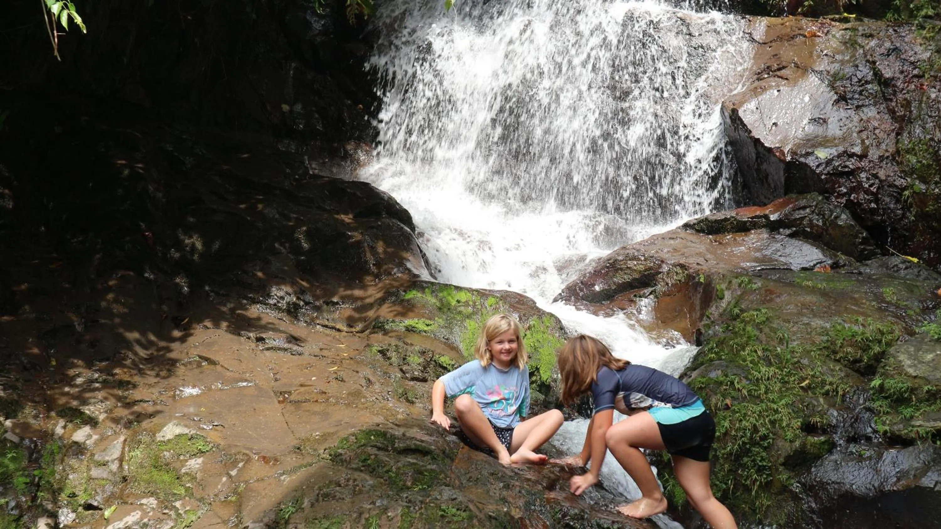 Jungle Inn Bukit lawang