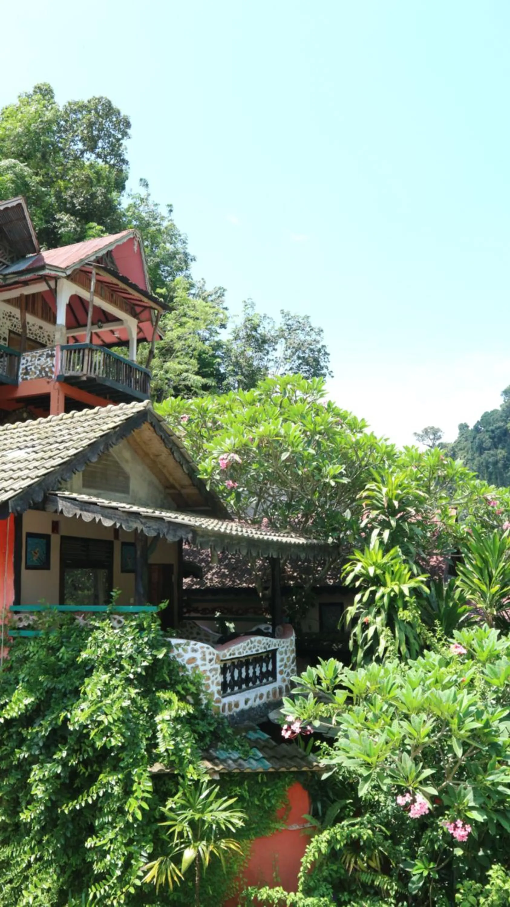 Jungle Inn Bukit lawang