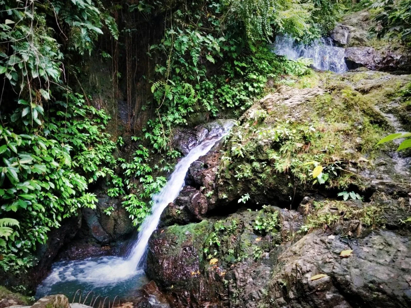 Jungle Inn Bukit lawang