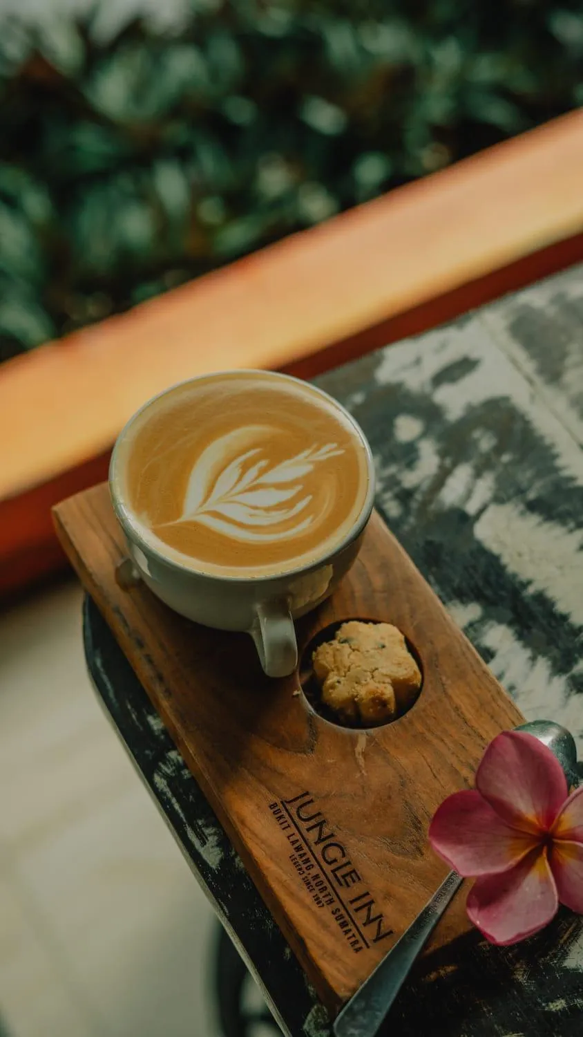 Jungle Inn Bukit lawang