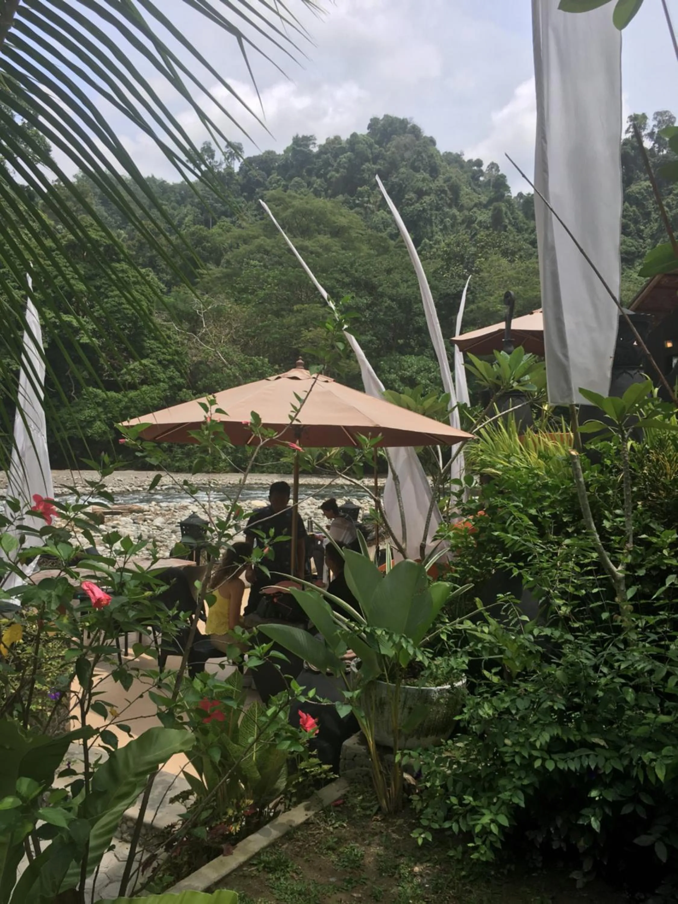 Jungle Inn Bukit lawang
