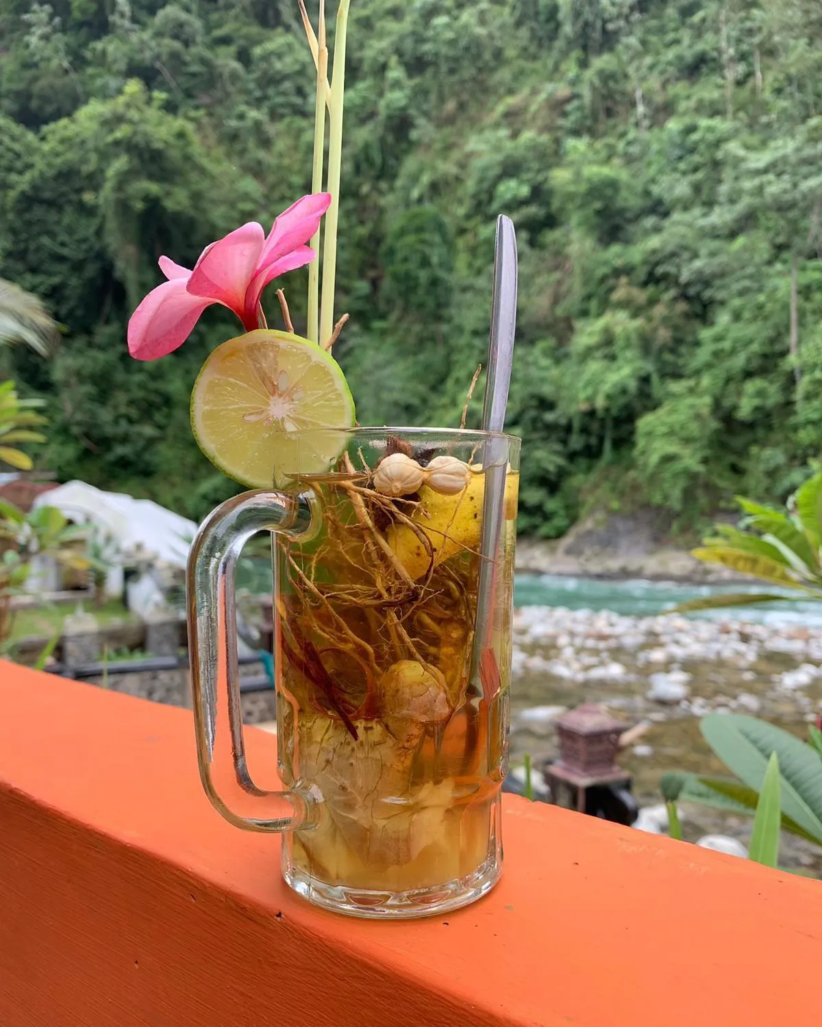 Jungle Inn Bukit lawang