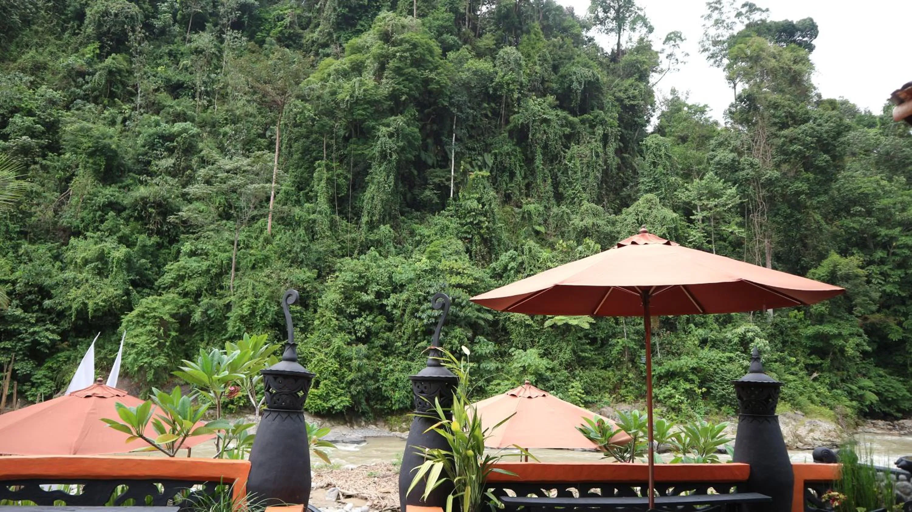 Jungle Inn Bukit lawang