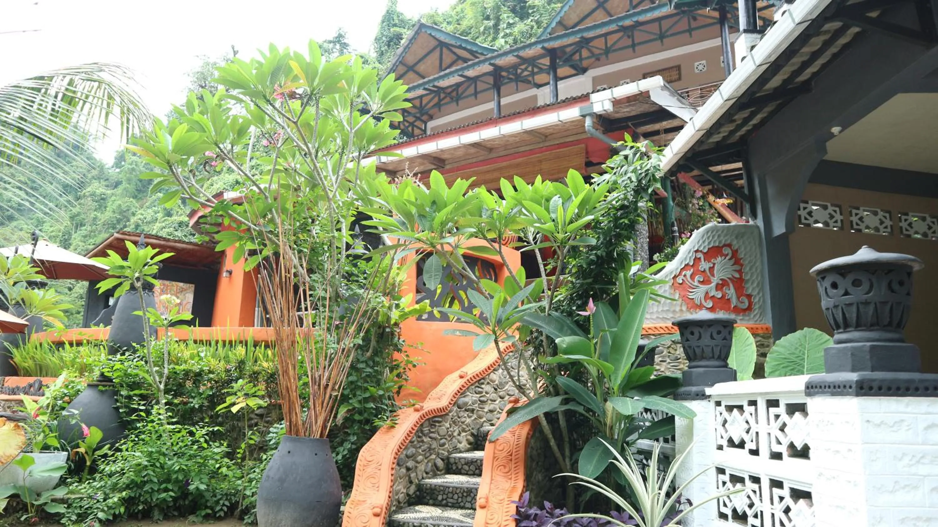 Jungle Inn Bukit lawang