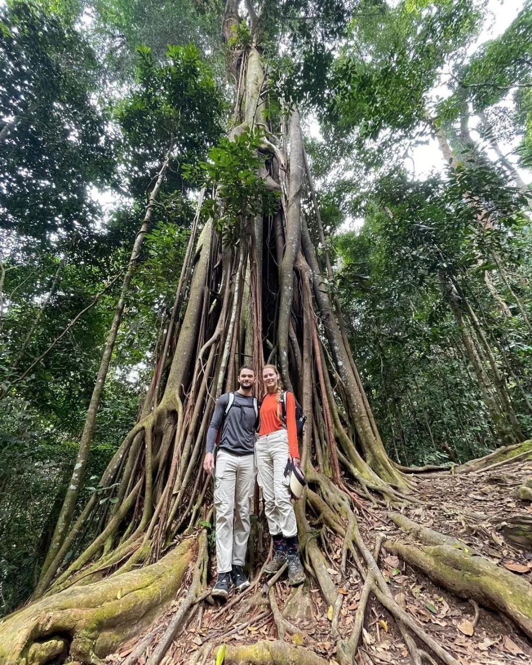Jungle Inn Bukit lawang