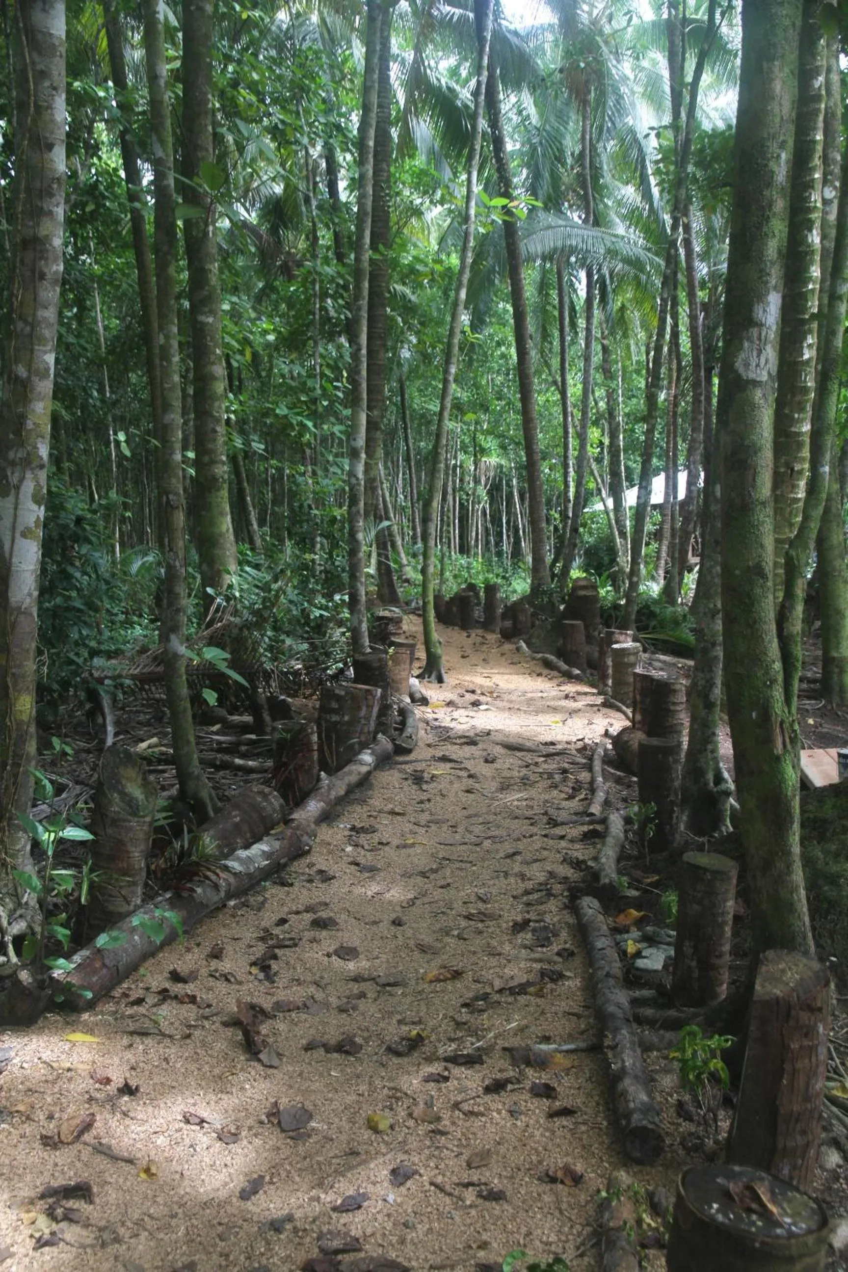 Area and facilities in Evis Resort at Nggatirana Island