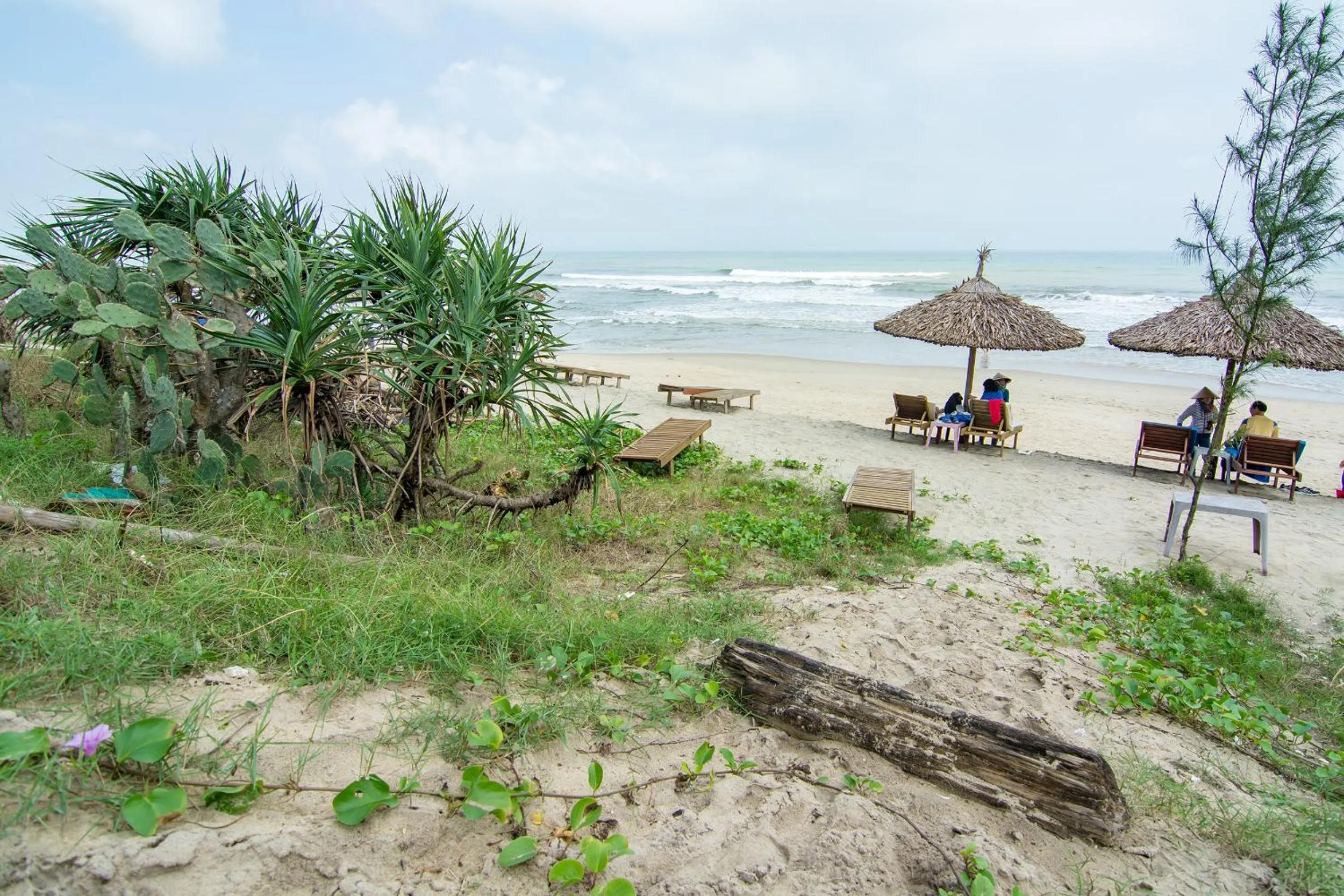 Beach in Hung Do Beach Homestay