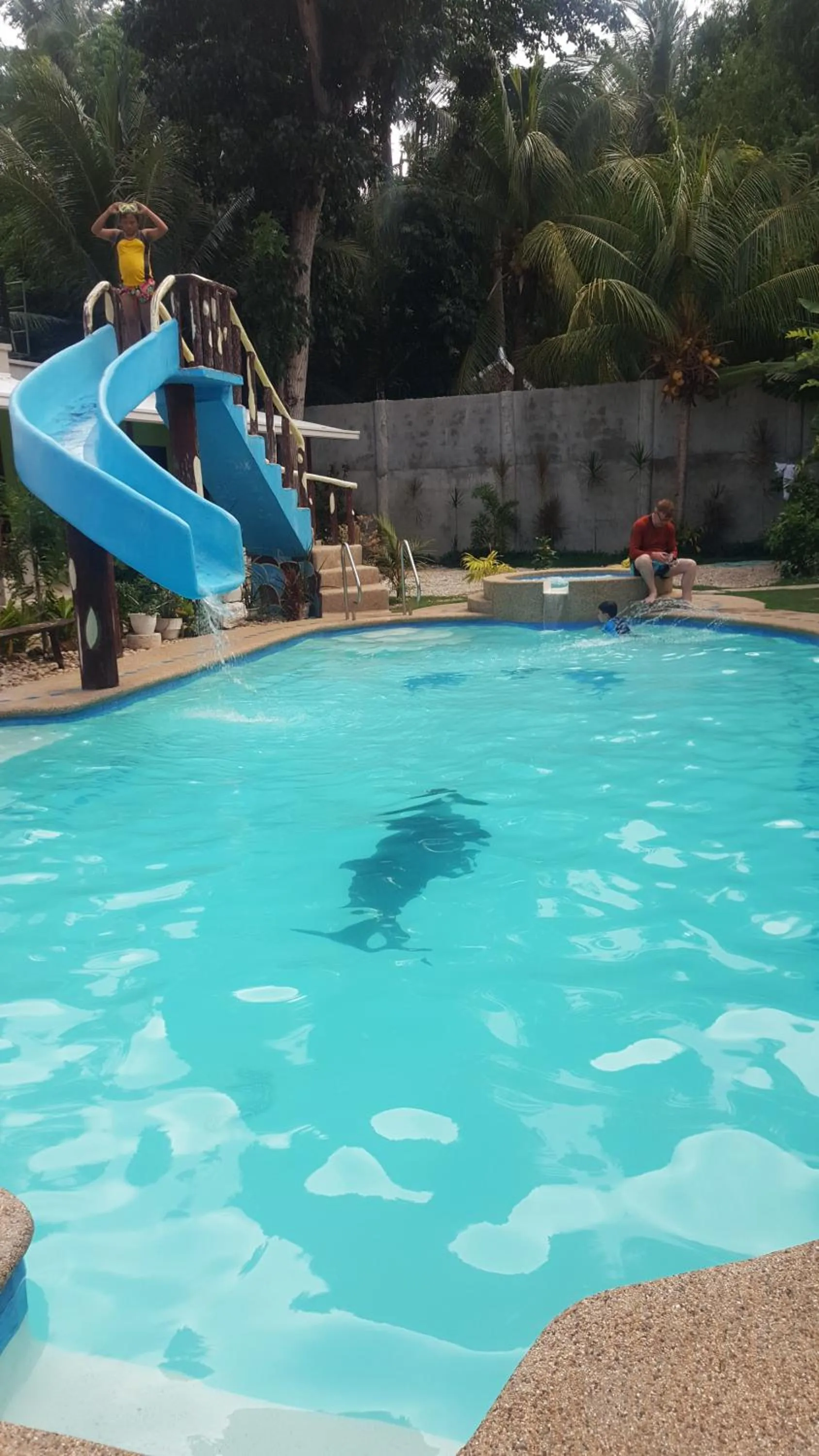 Pedz Cing Mango Lodge