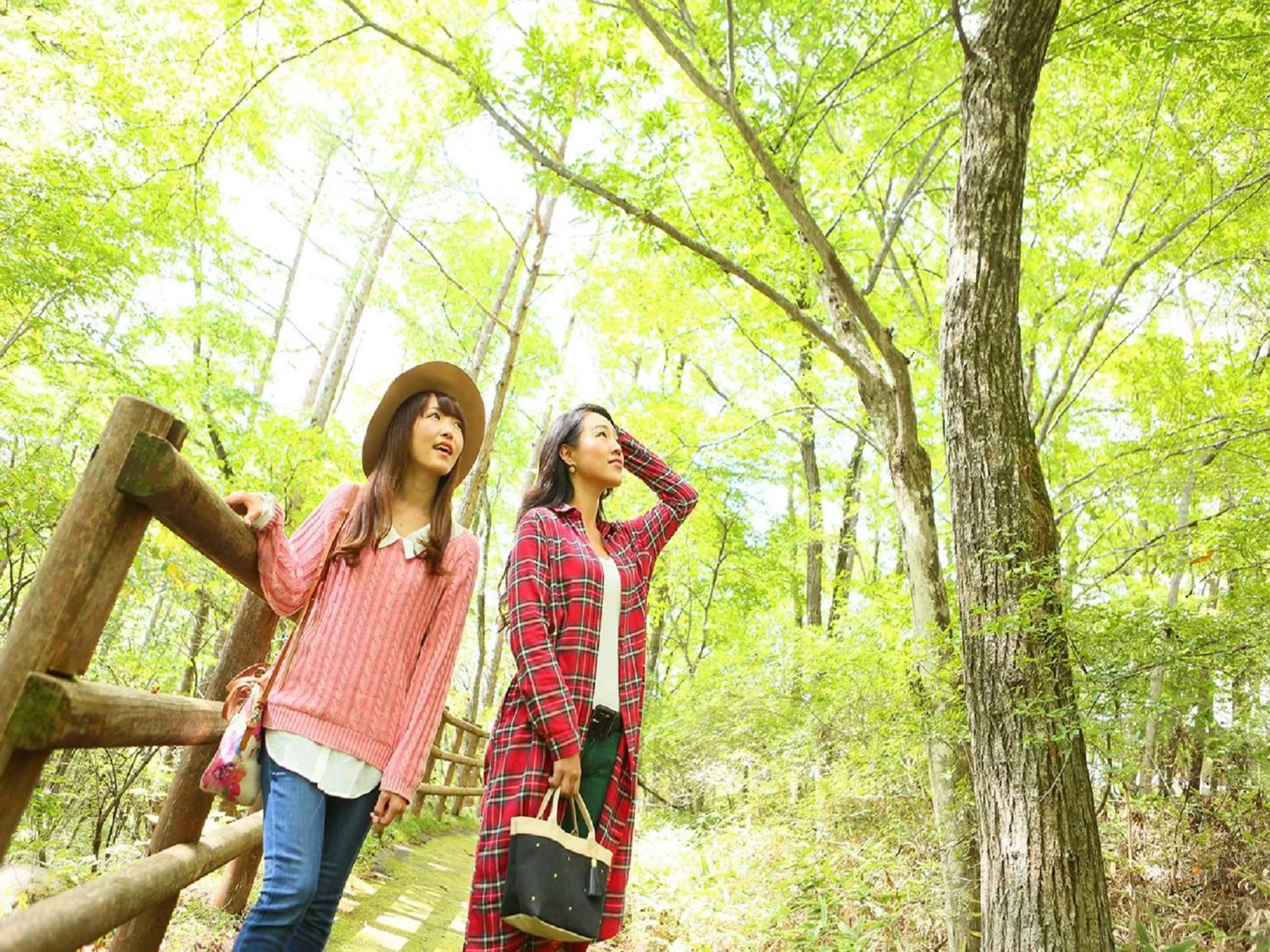 Garden in TAOYA Nikko Kirifuri