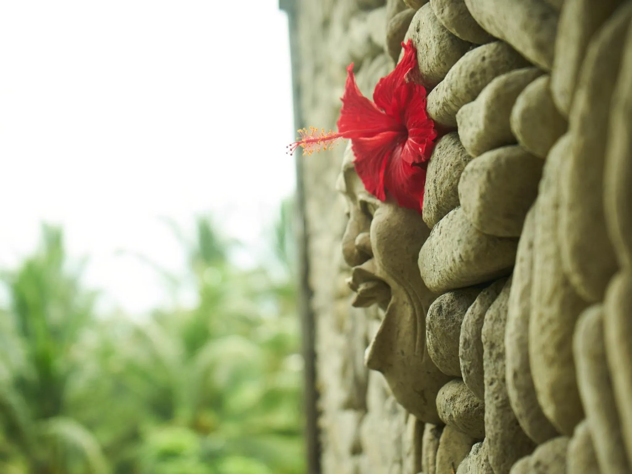 Balcony/Terrace in Eden House Ubud