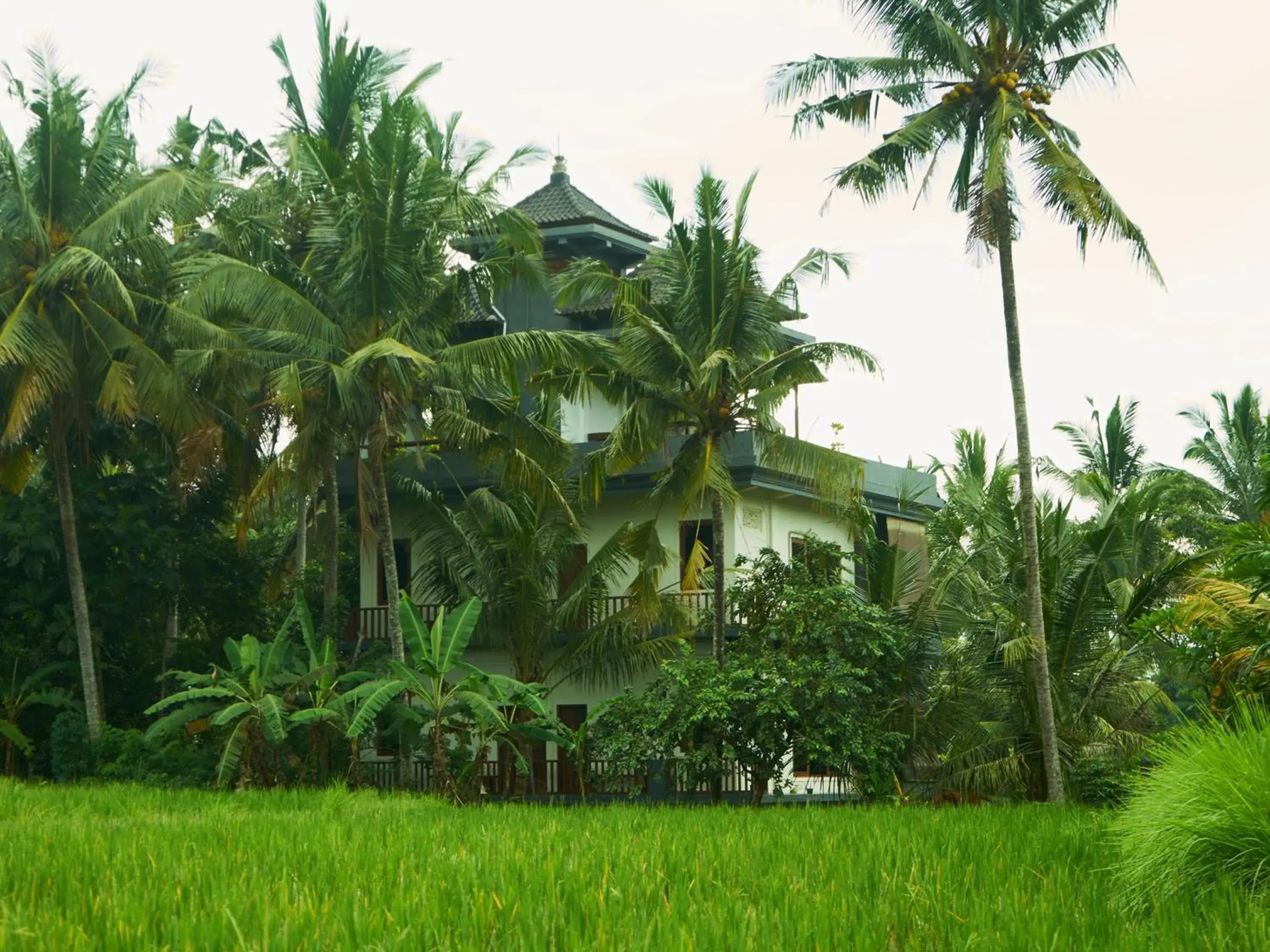 Eden House Ubud Eden House Ubud