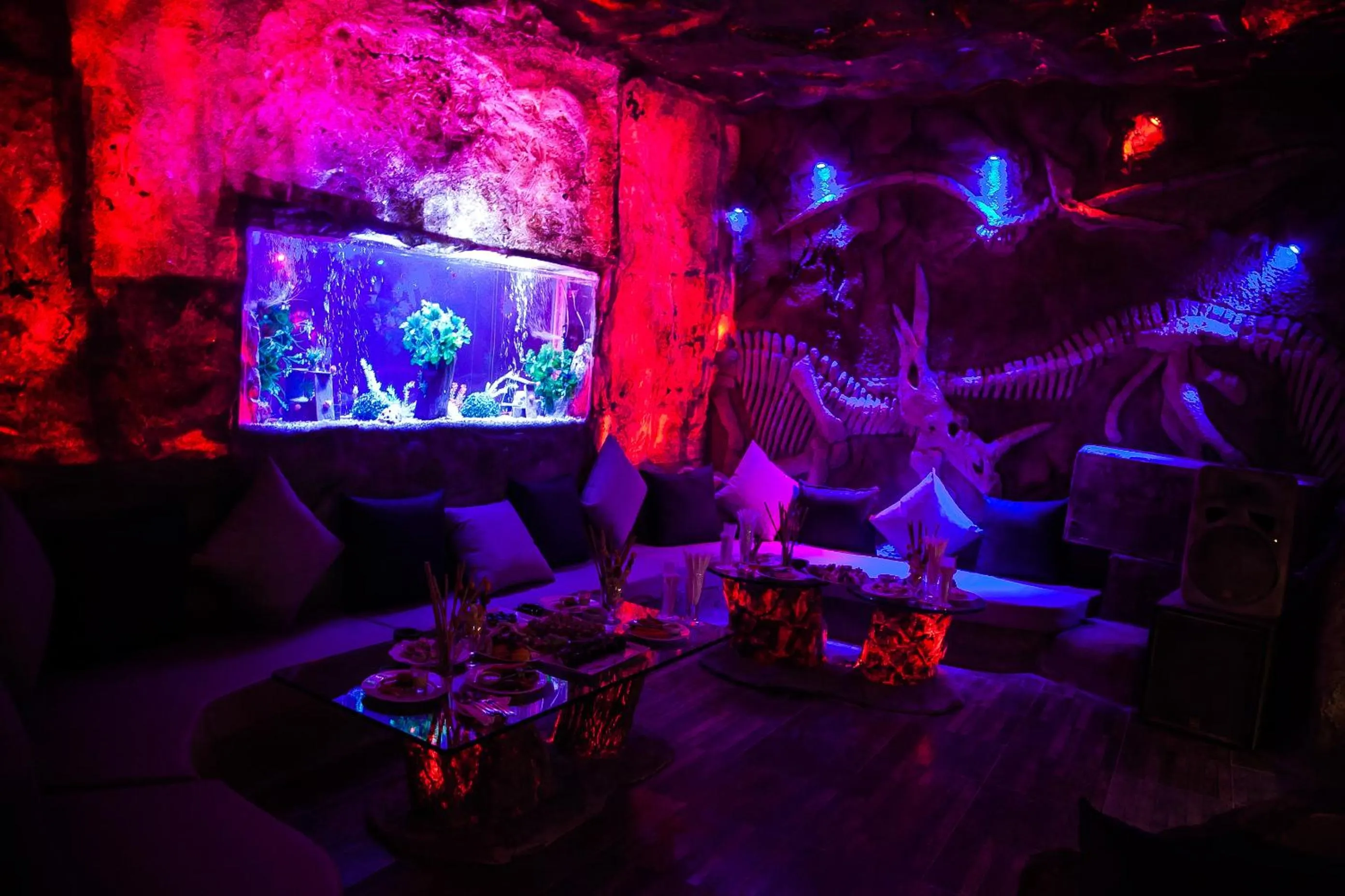 Nightclub / DJ in Caves Beach Resort Adults Only