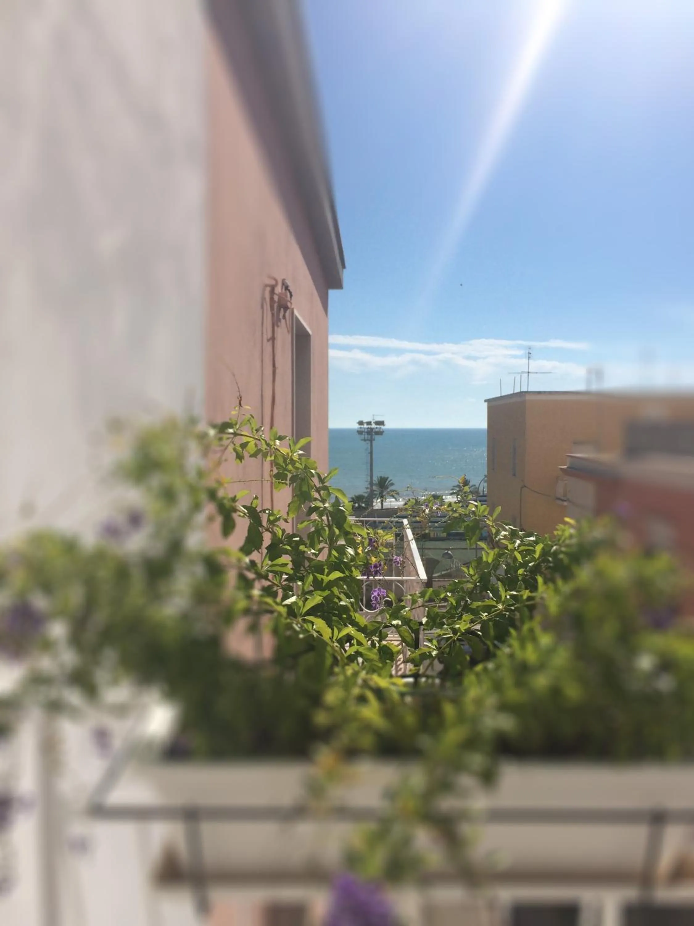 Property building in B&B Acqua di Sale