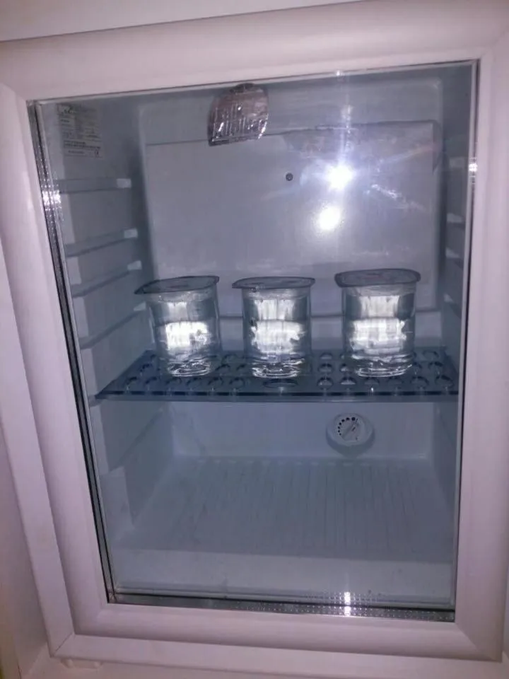 Other in Fors Hotel Istanbul yeni kapı