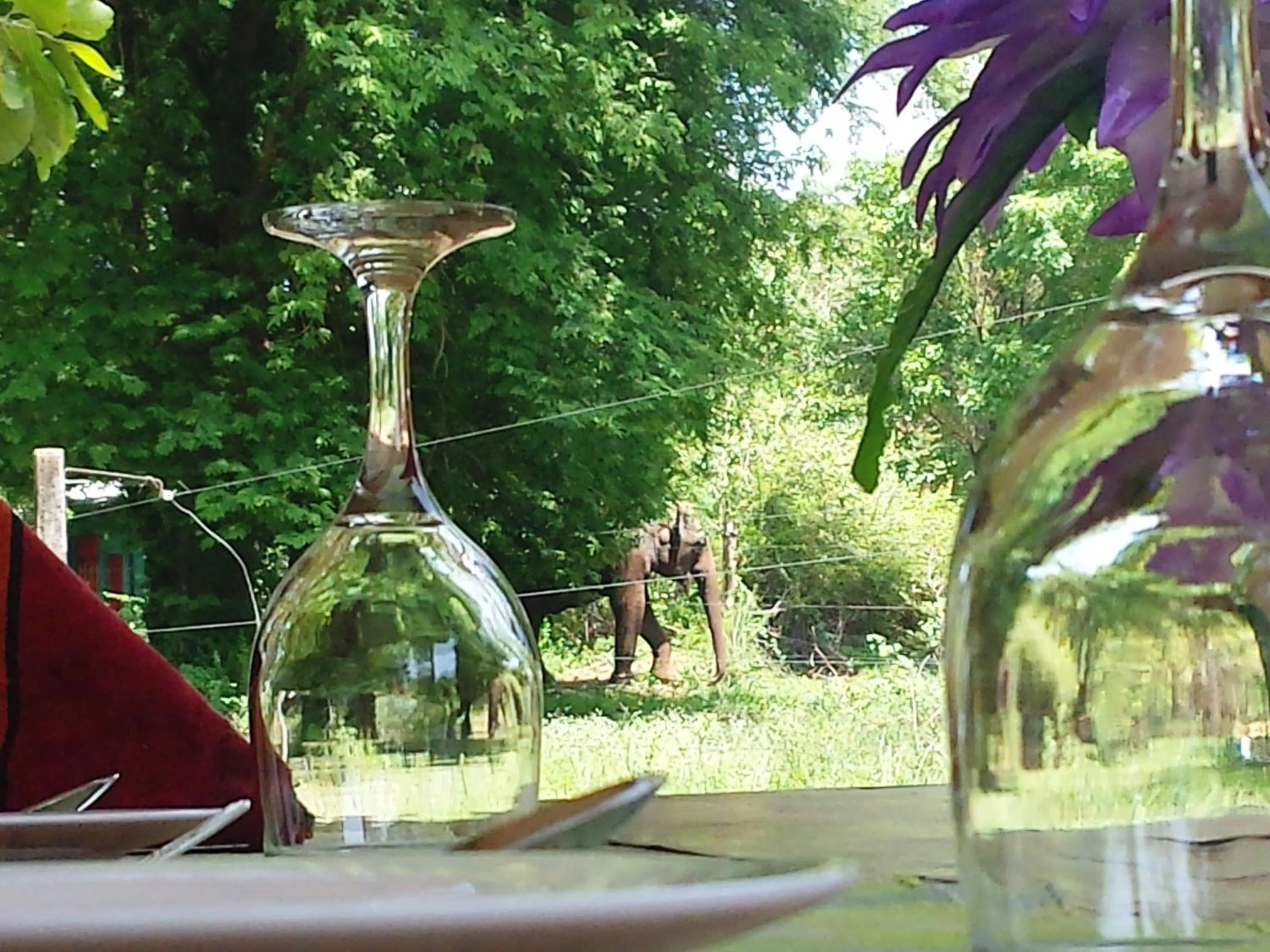 Other in Greenwood Udawalawa Safari Resort