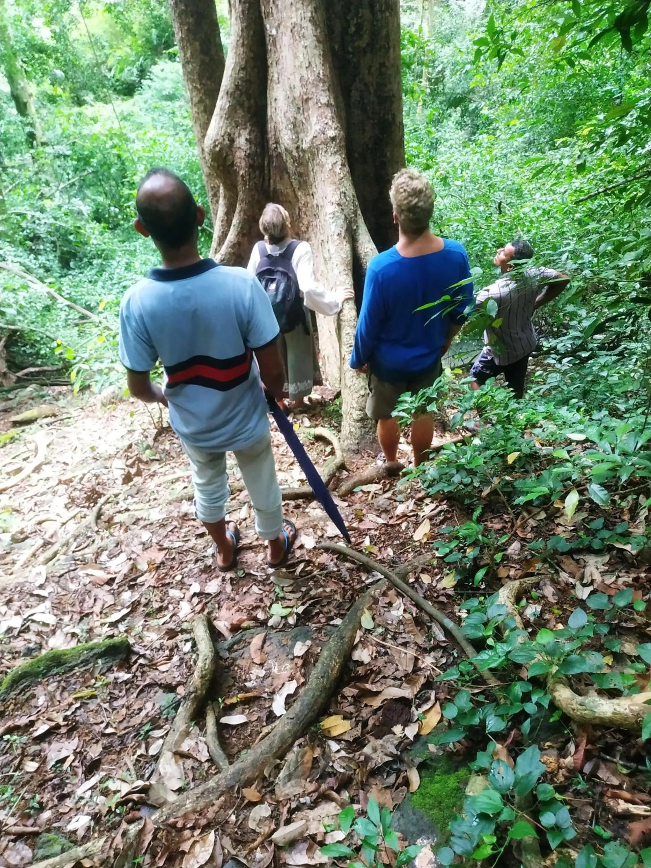 Activities in Greenwood Udawalawa Safari Resort