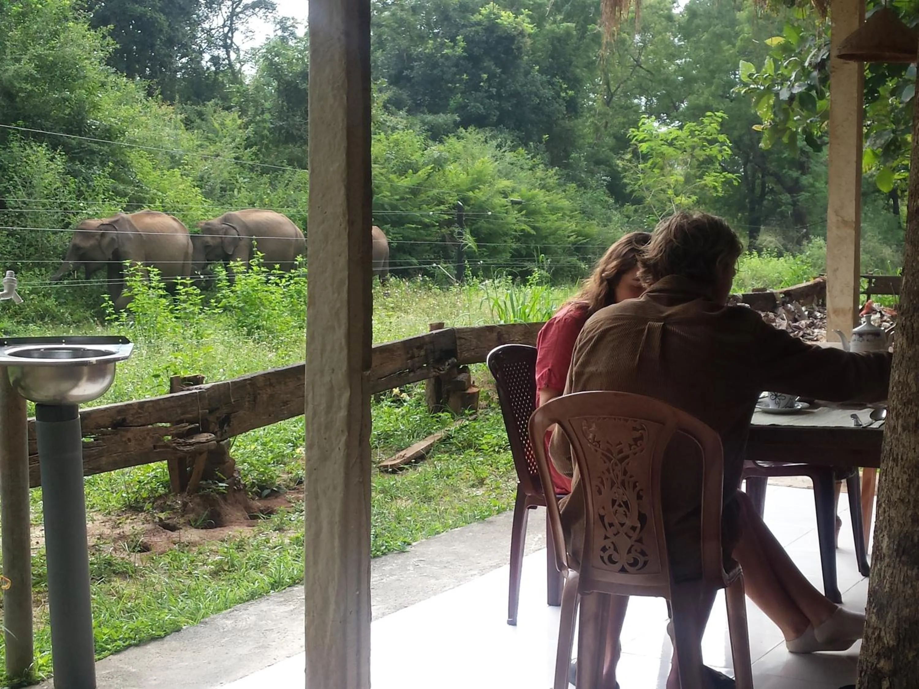 Garden in Greenwood Udawalawa Safari Resort