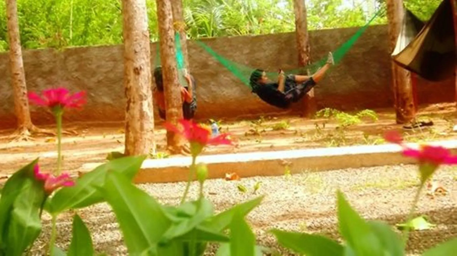 On site in Greenwood Udawalawa Safari Resort