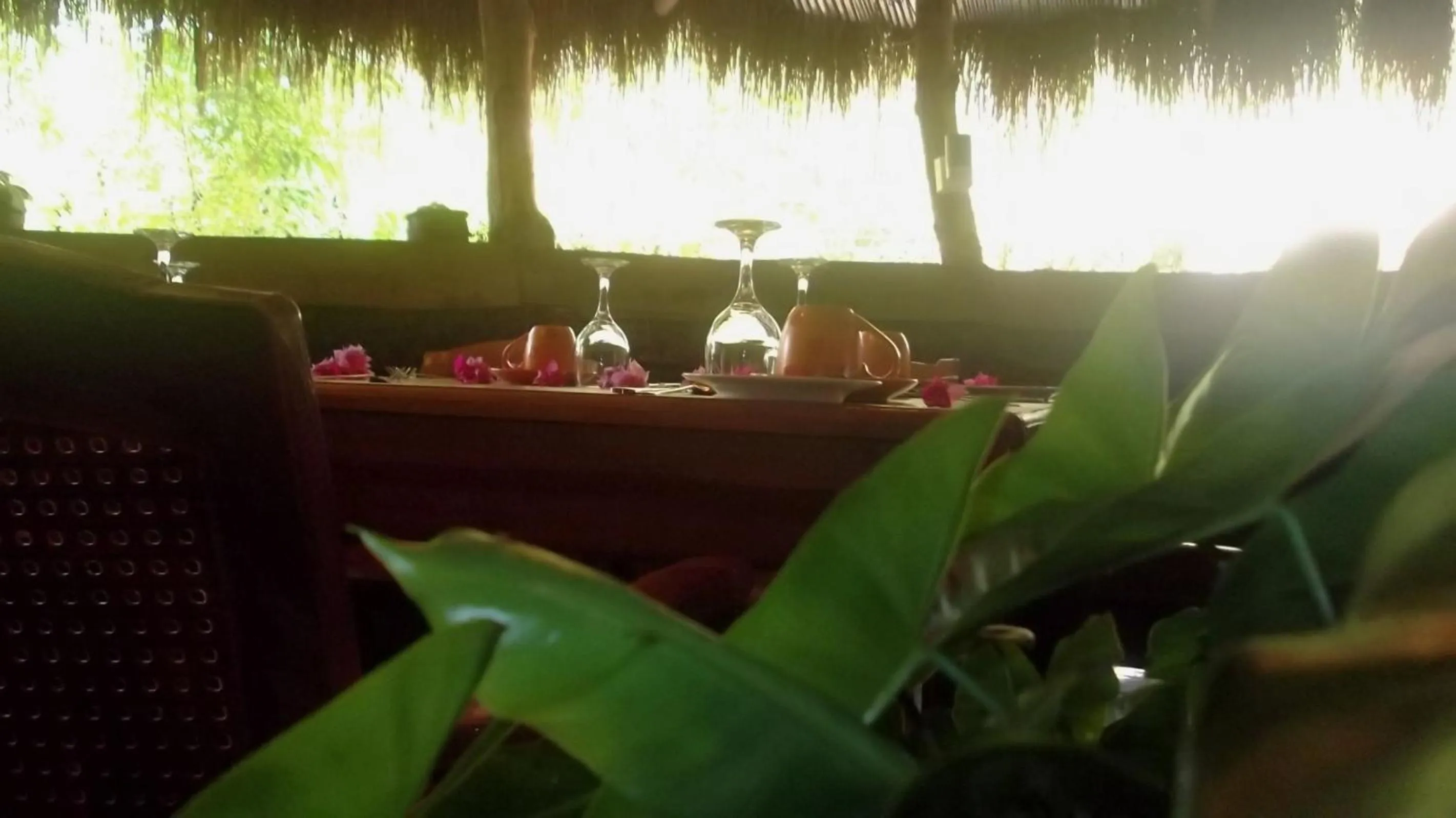 Continental breakfast in Greenwood Udawalawa Safari Resort