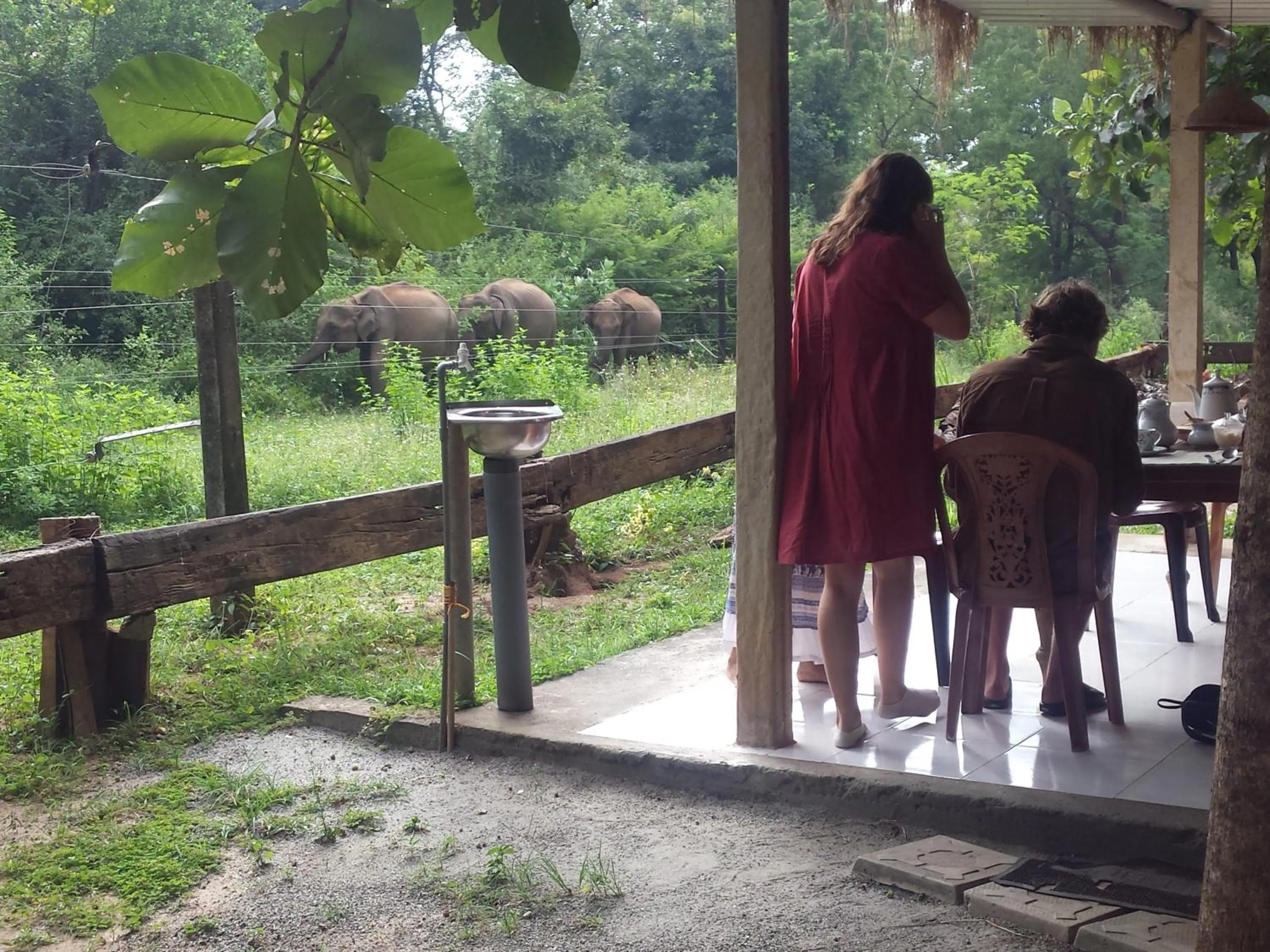 Restaurant/places to eat in Greenwood Udawalawa Safari Resort