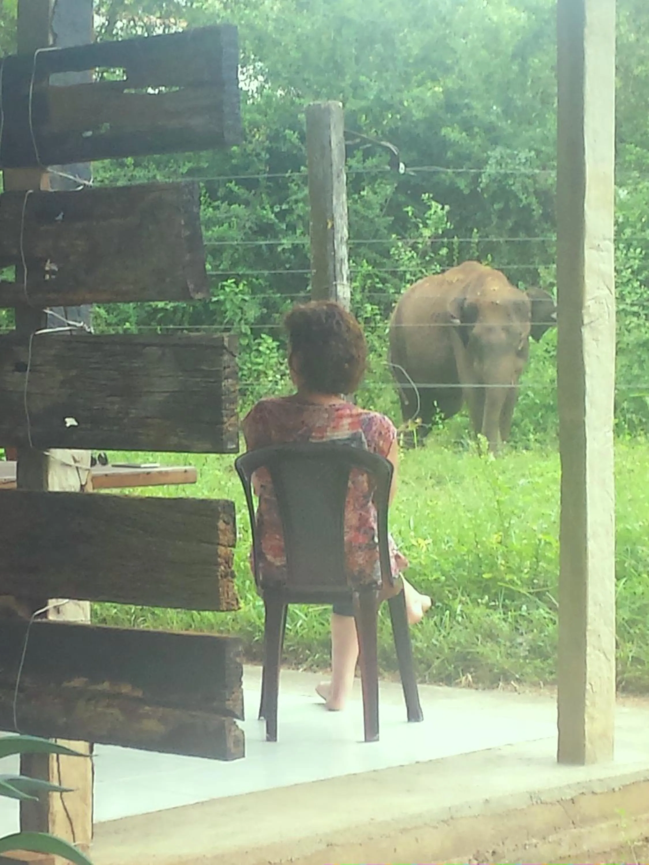 Restaurant/places to eat in Greenwood Udawalawa Safari Resort